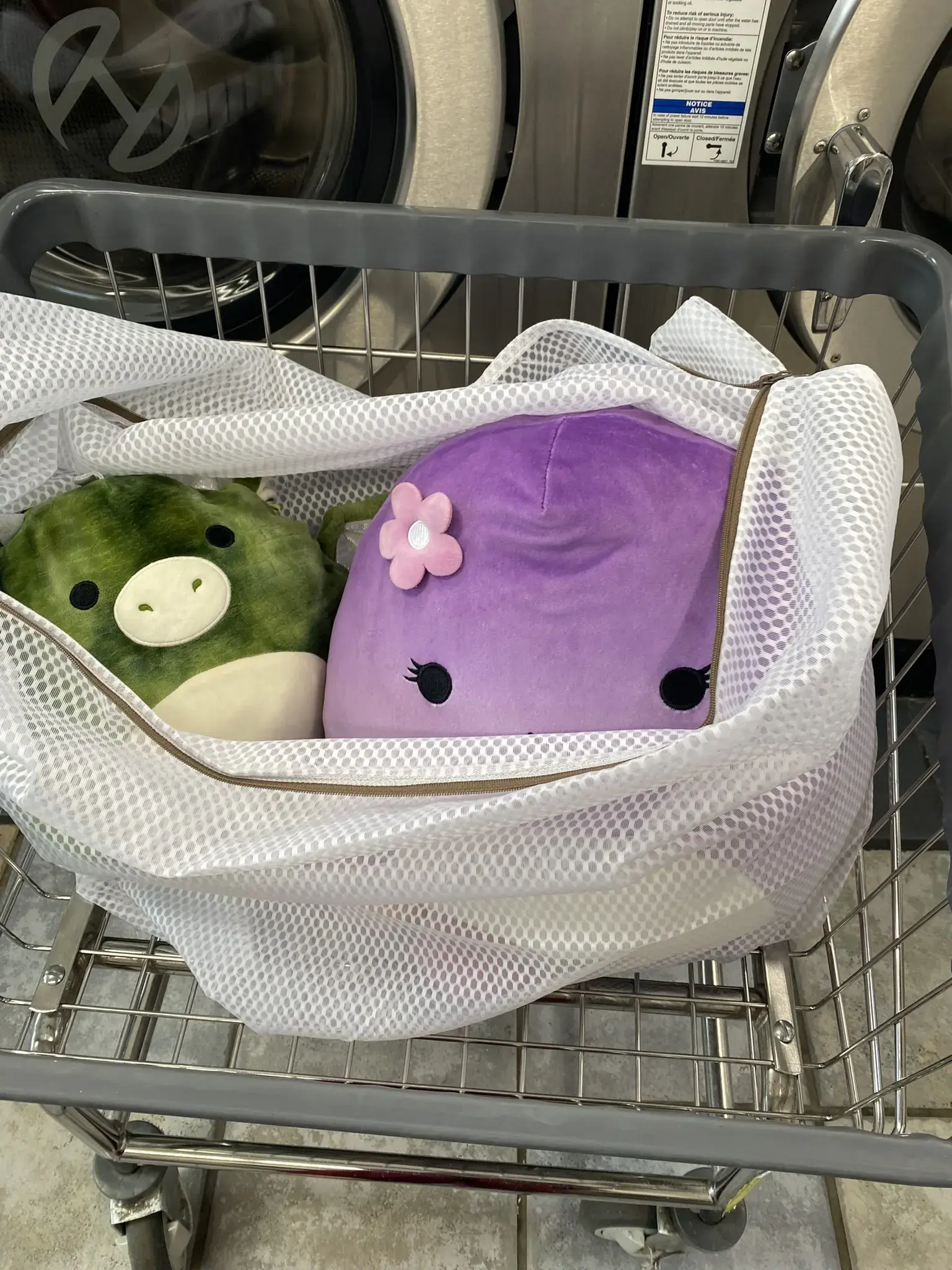 Amy's Laundry thumbnail 15