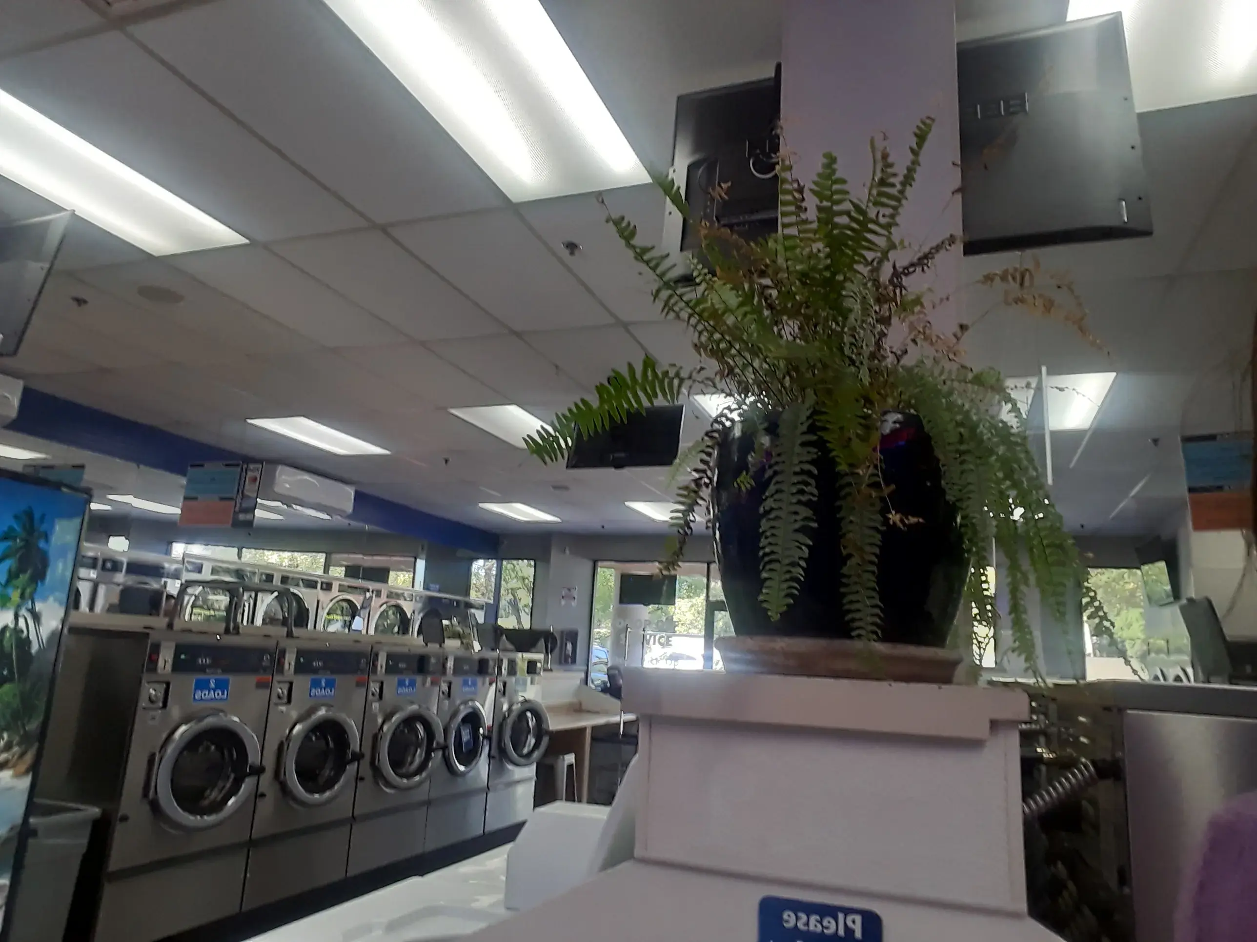 Anthonys Laundry Pick Up & Delivery thumbnail 6