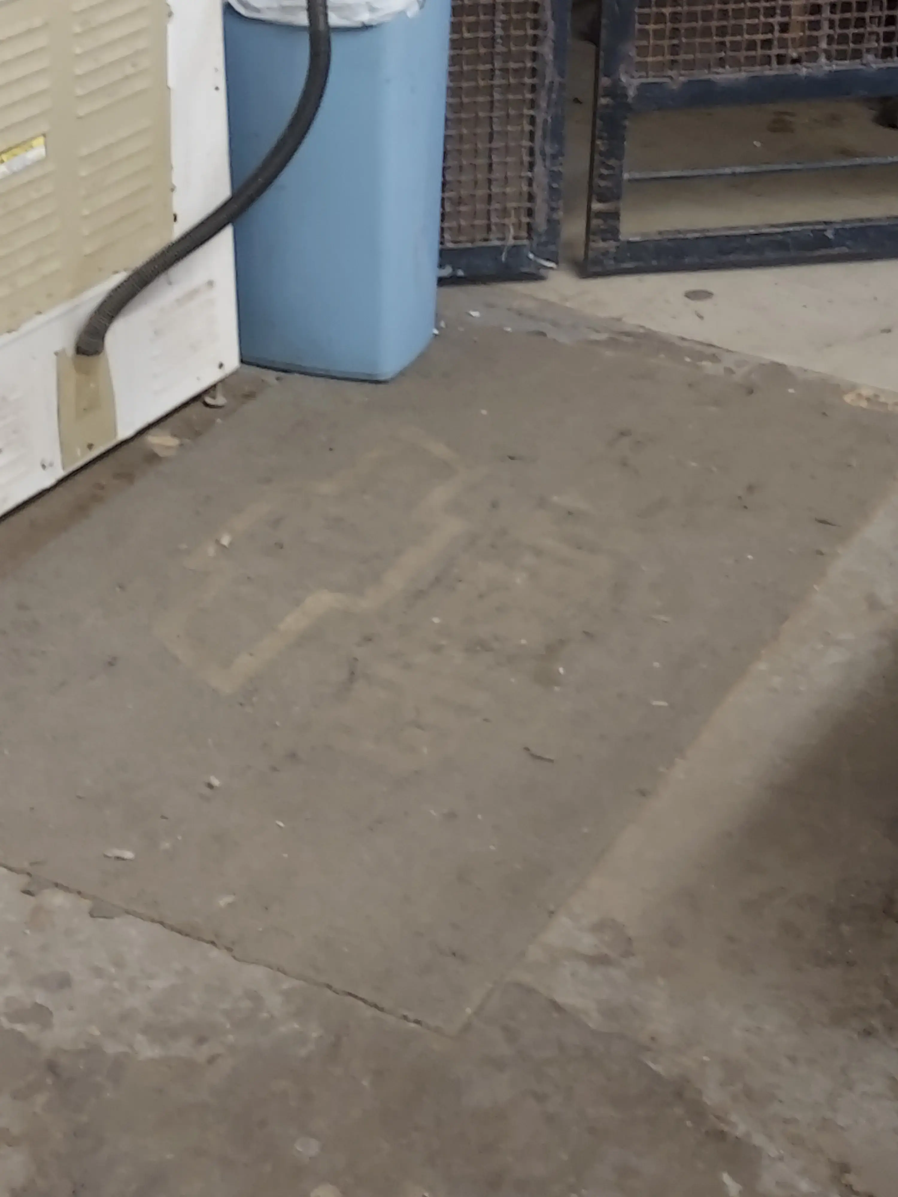 Apollo Laundry - Image 13