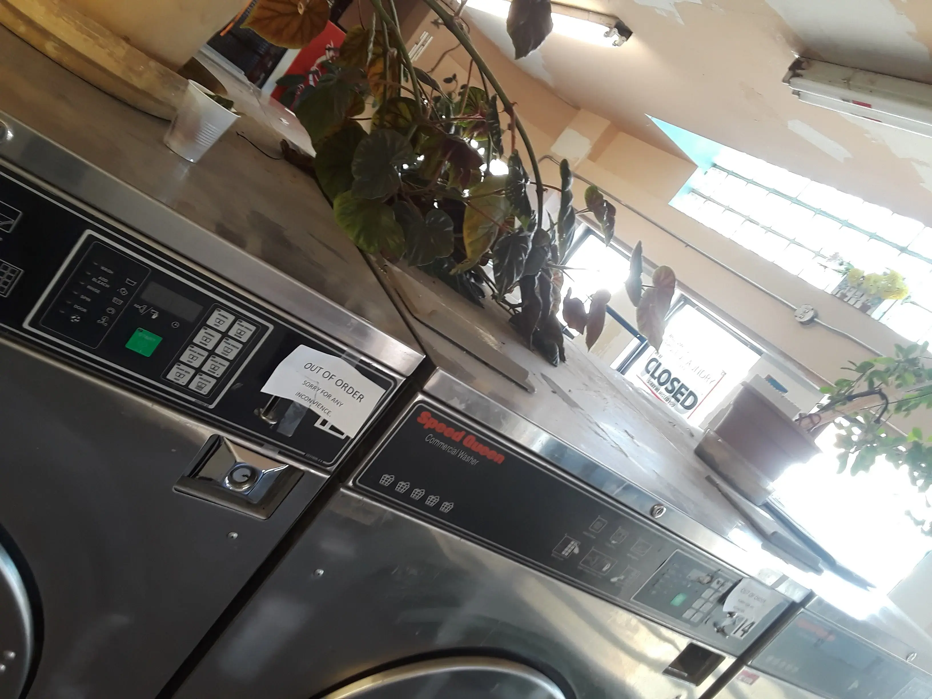 Apollo Laundry thumbnail 17