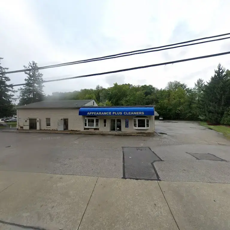 Appearance Plus Cleaners thumbnail 12