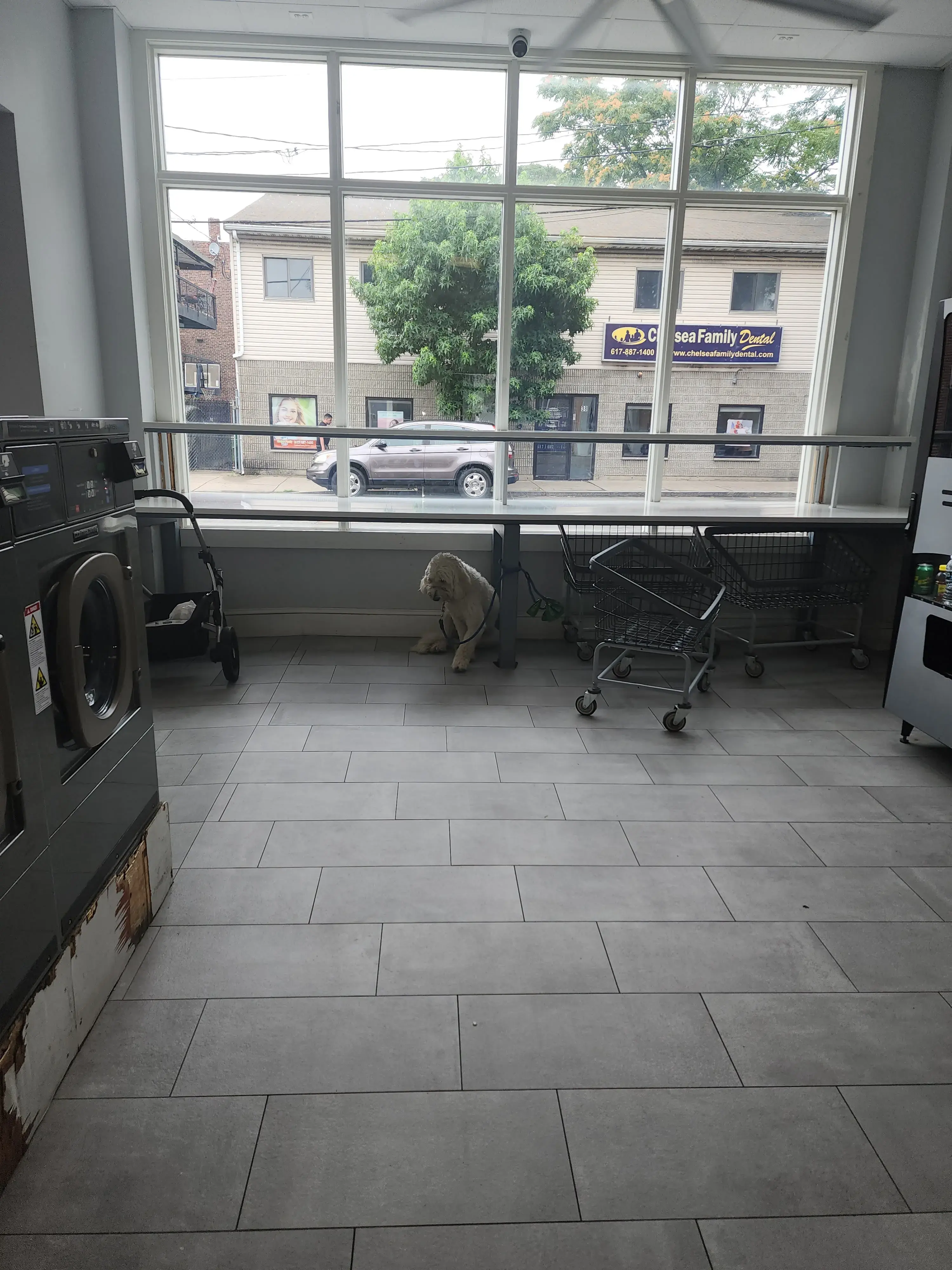 Aqua Laundromat thumbnail 8