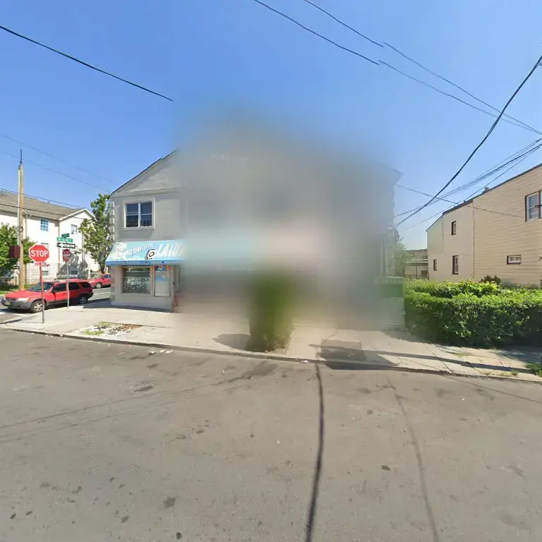 Aquarium Laundromat & cleaners # 2 - Image 13