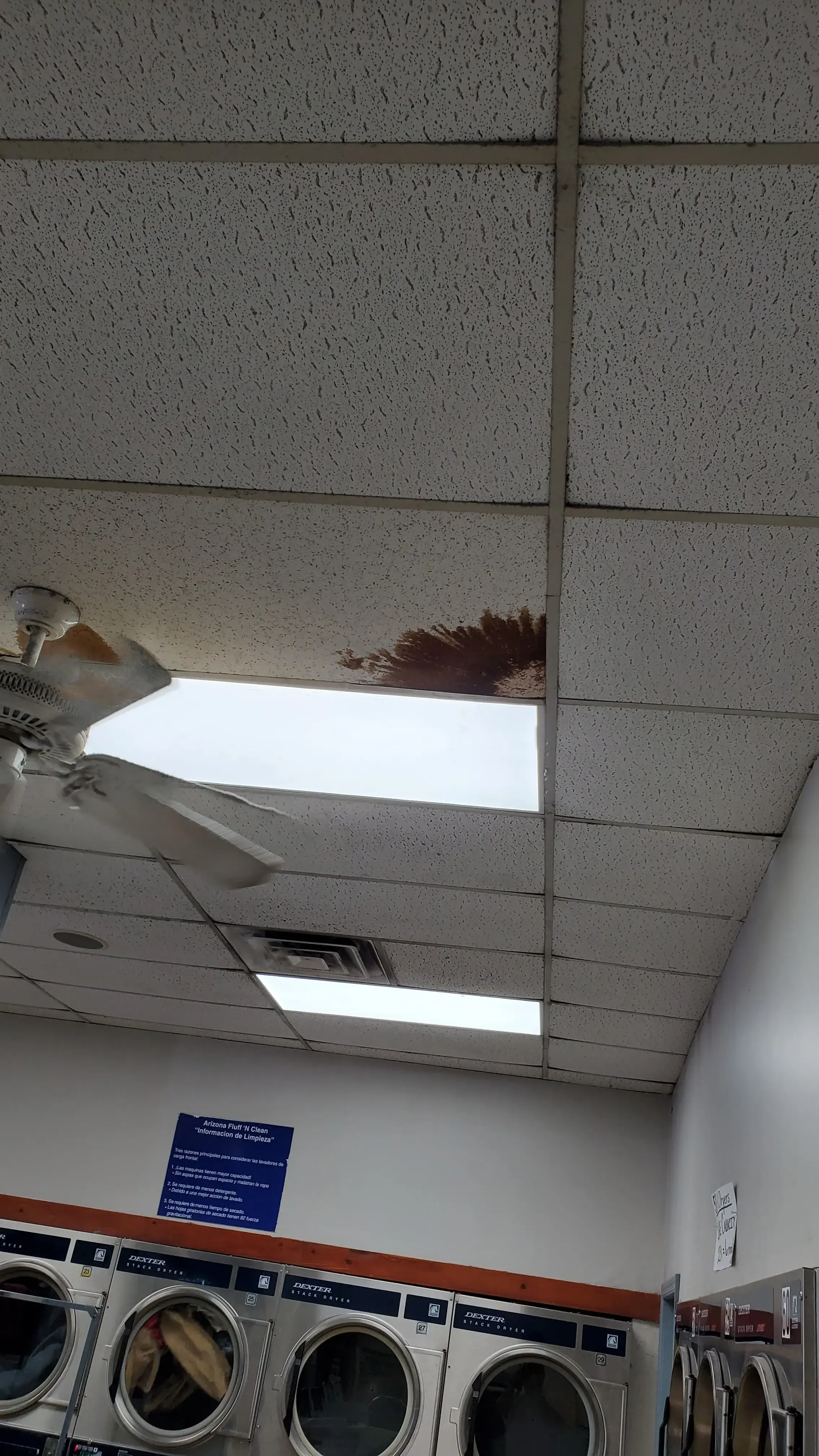 Arizona Fluff N Clean thumbnail 17