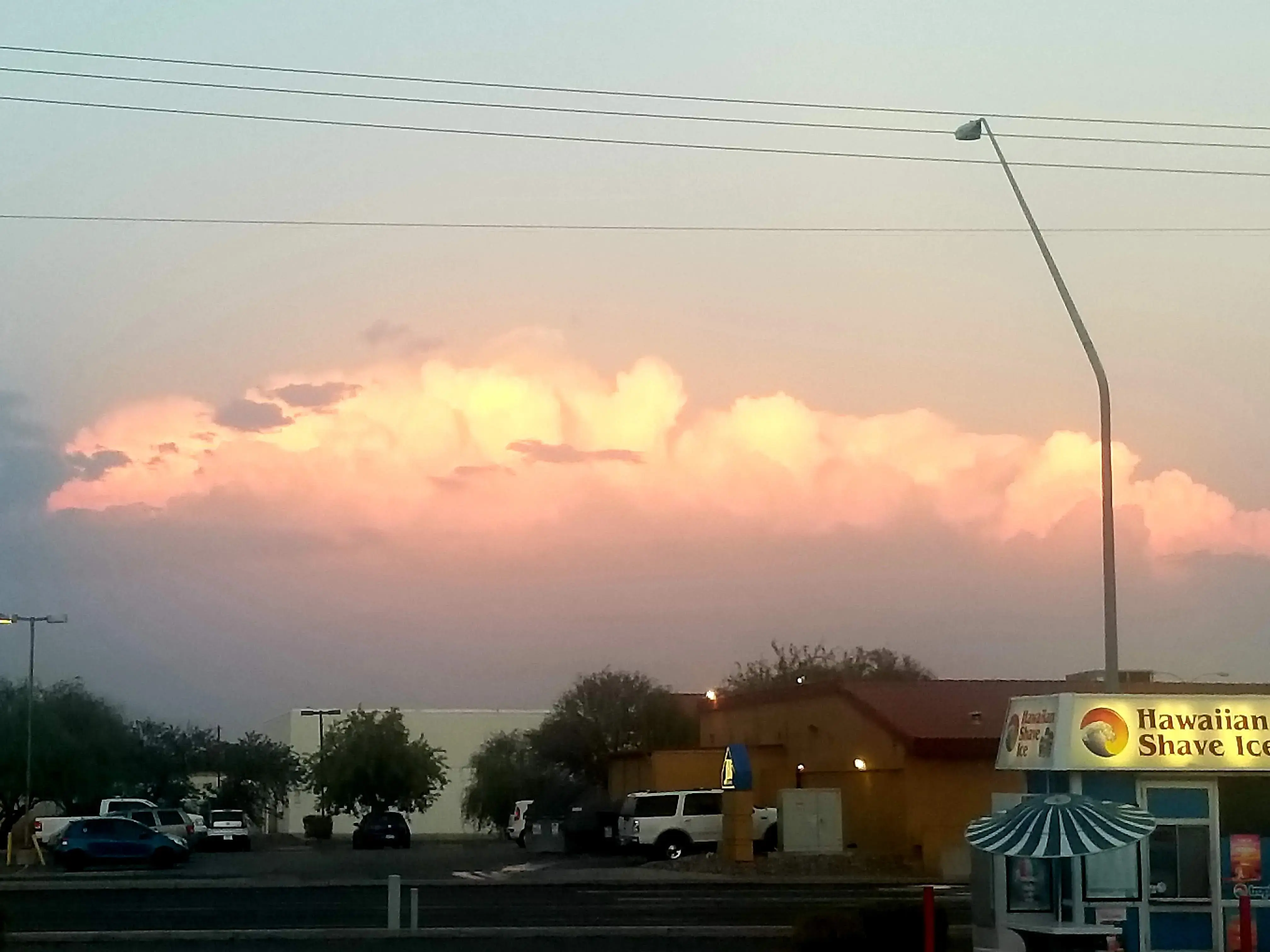 Arizona Fluff N Clean - Image 7