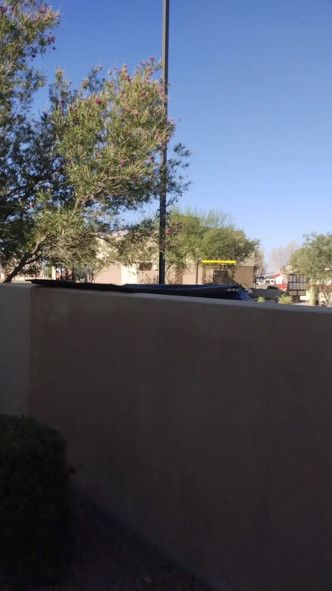 Arizona Fluff N Clean - Image 16