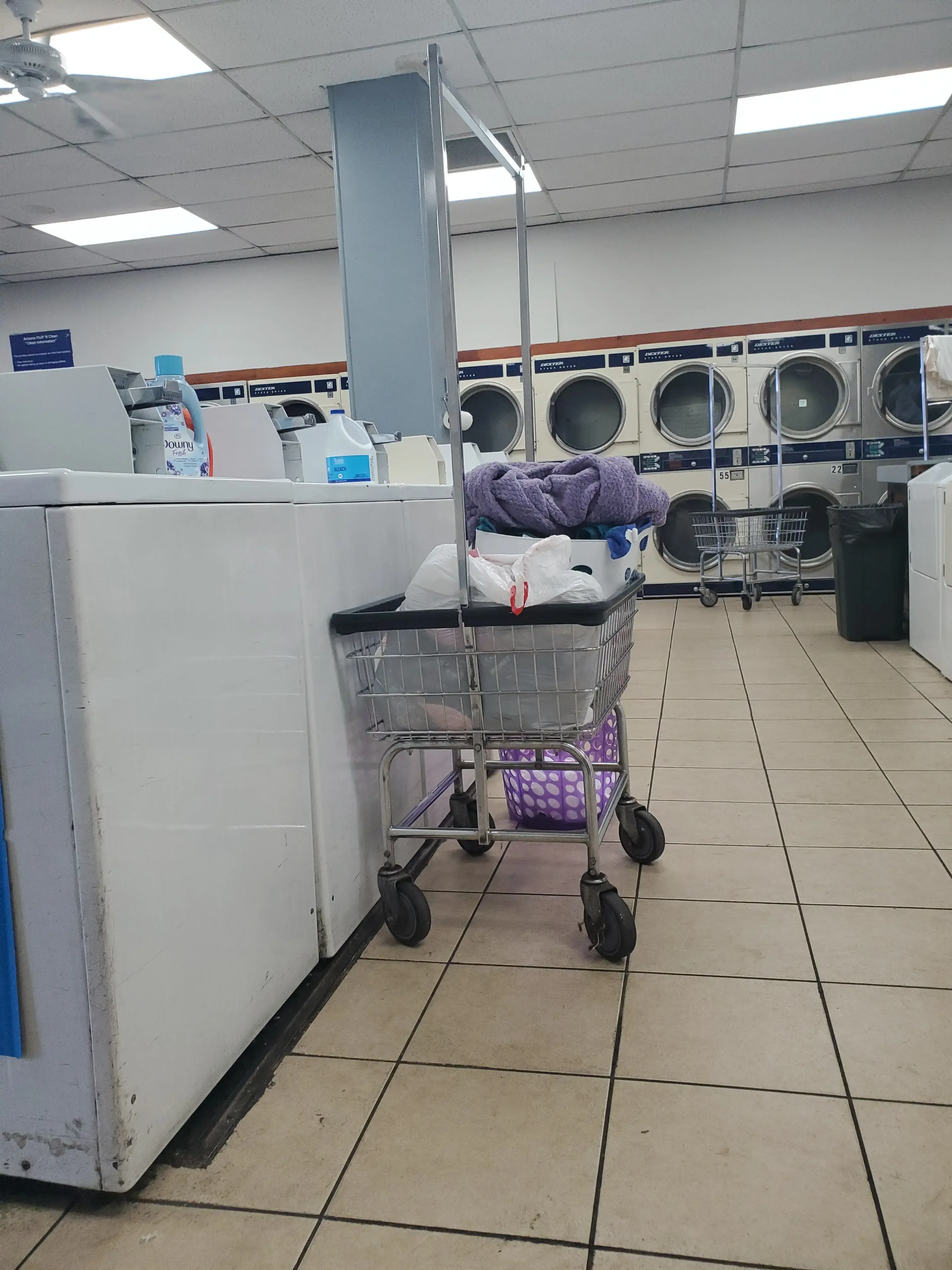 Arizona Fluff N Clean thumbnail 12