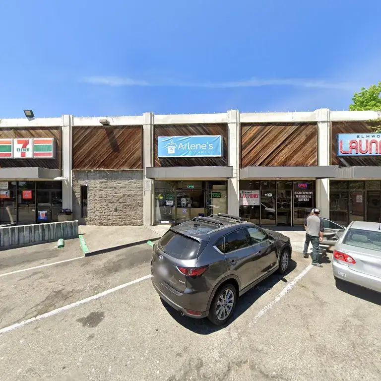 Arlene's Cleaners - Image 5