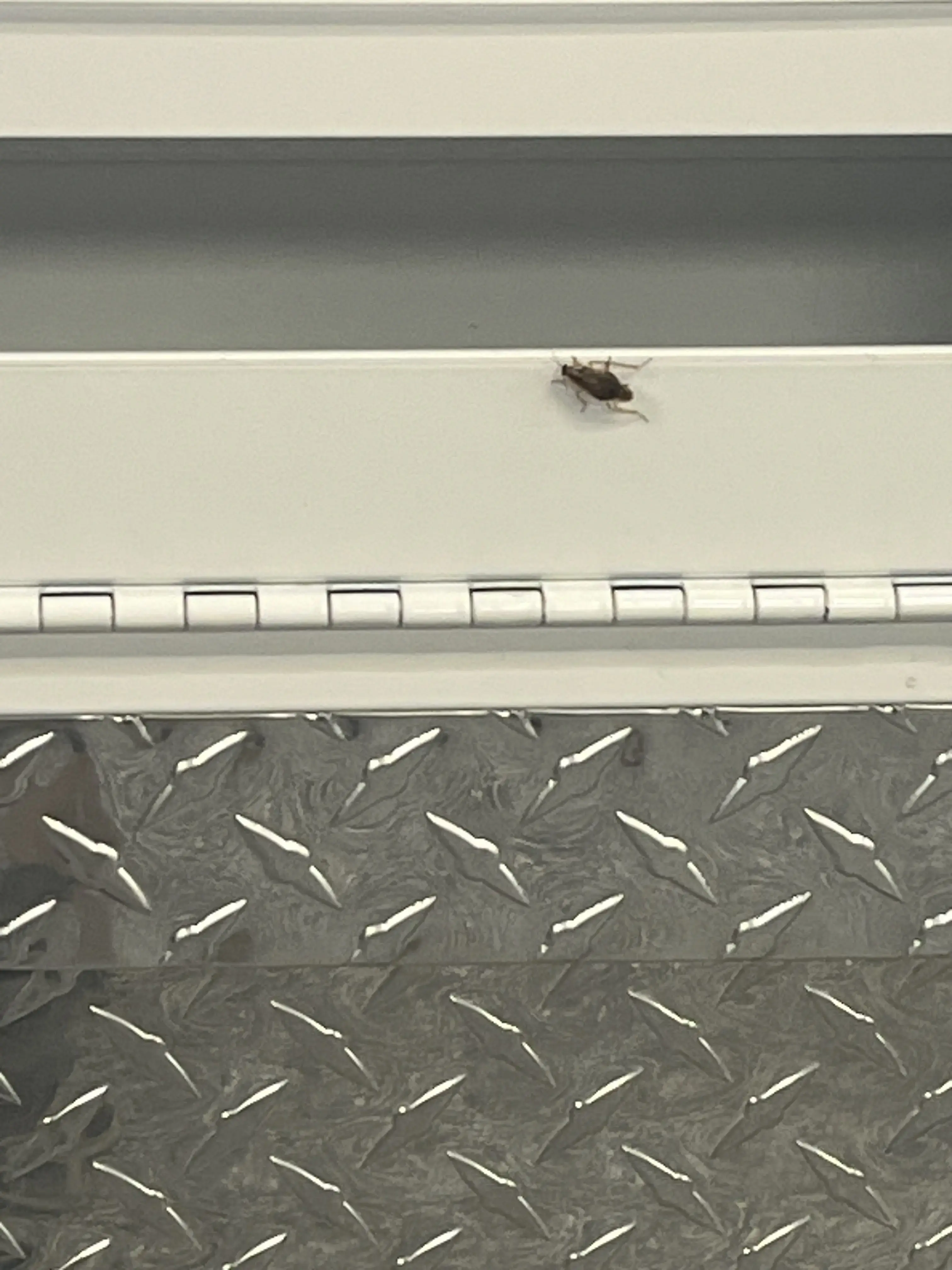 At Your Service Coin Laundry - Kettering - Image 16