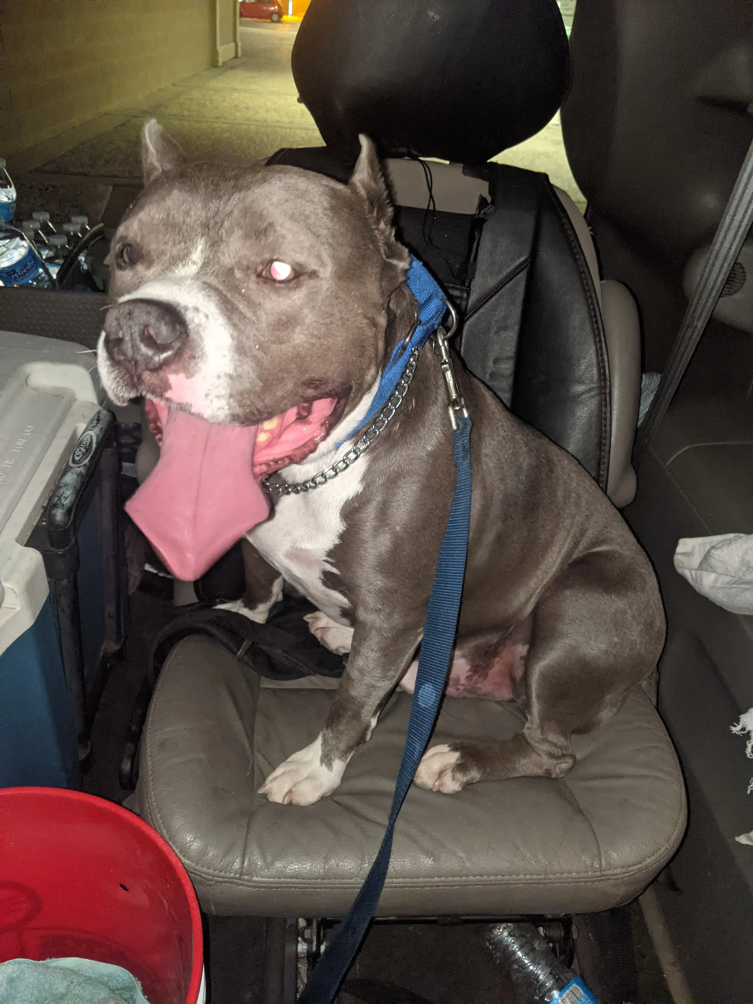 Auburn Thrifty Wash & Dry Clean - Image 12