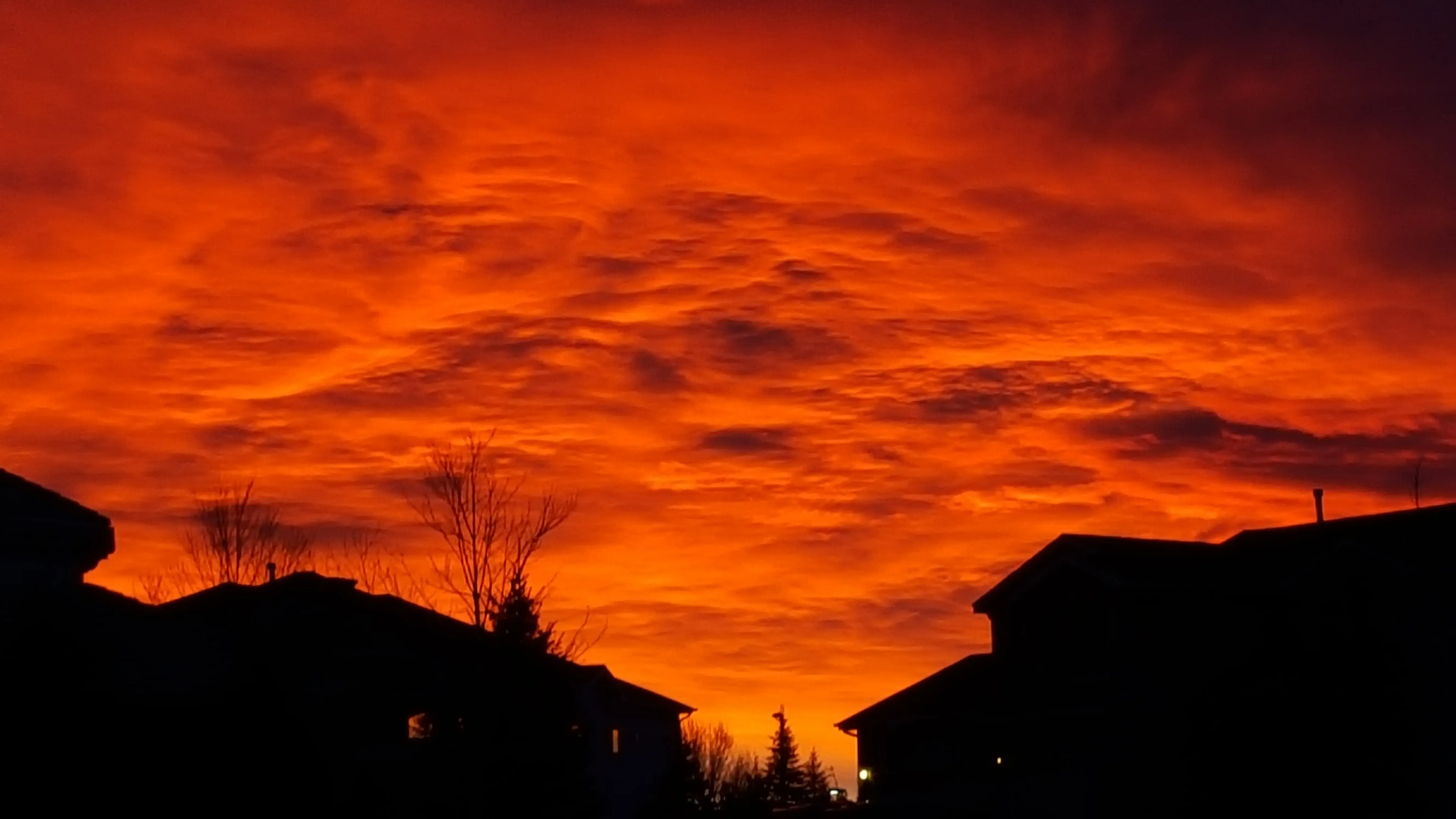 Aurora Cleaners - Image 7