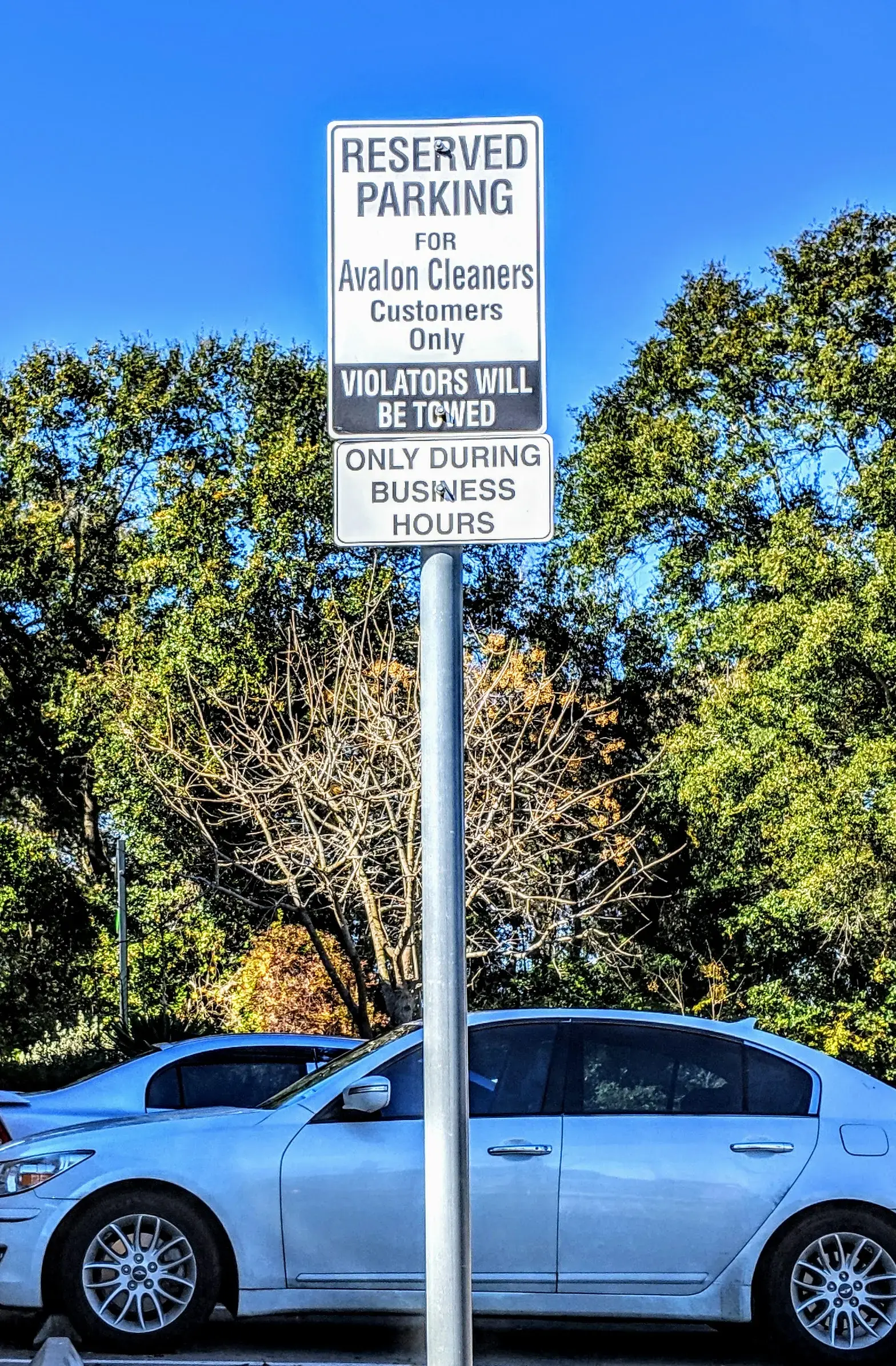 Avalon Dry Cleaners thumbnail 15