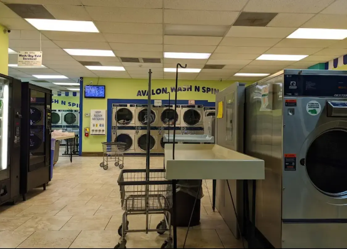 Avalon Wash N Spin - Image 1