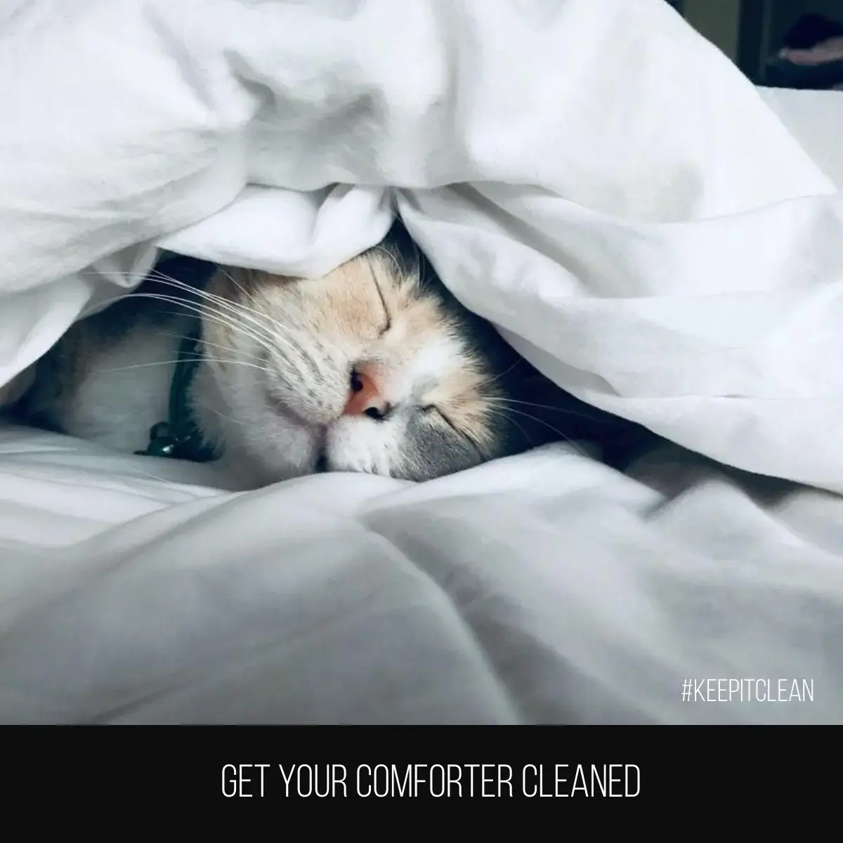 Balfurd Cleaners - Image 18