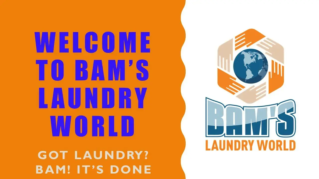 Bam's Laundry World II thumbnail 7