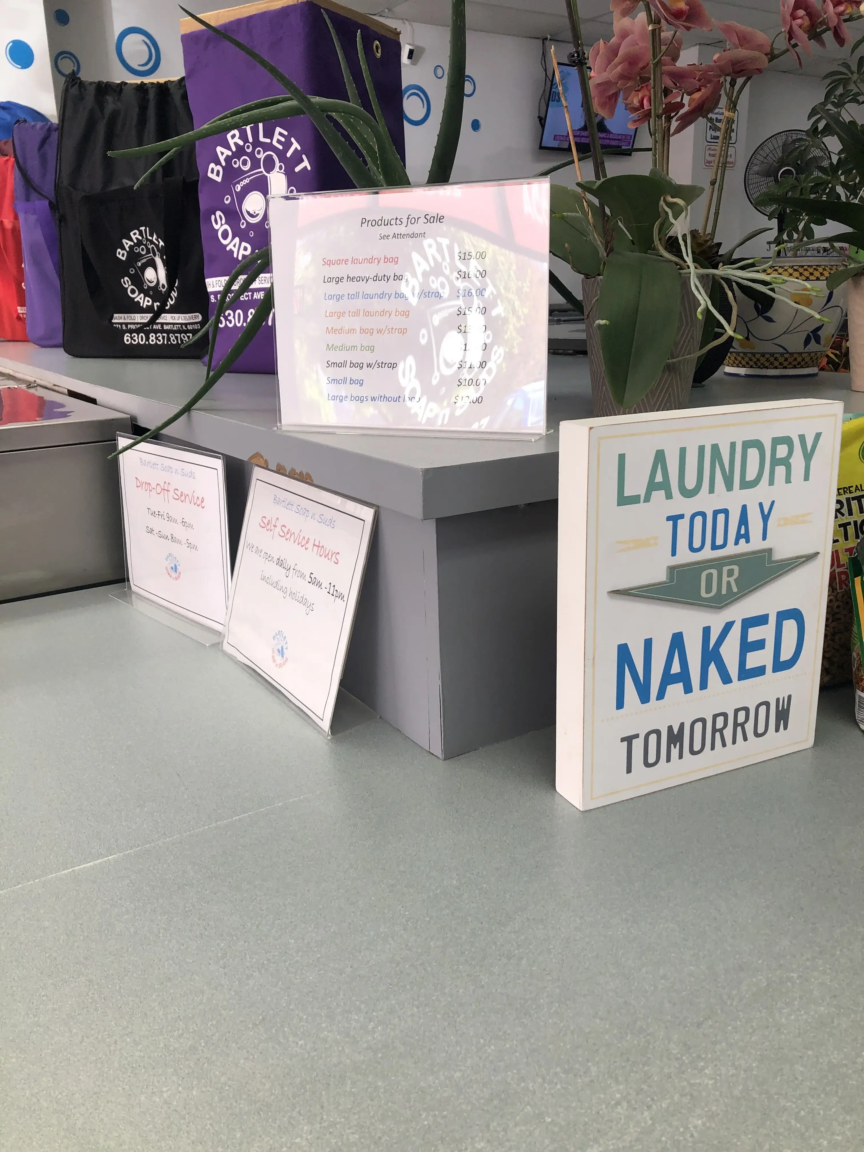 Bartlett Soap n Suds - Image 18