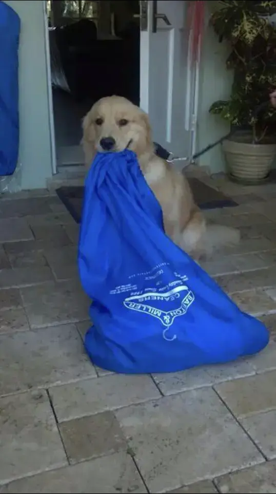 Barton & Miller Cleaners thumbnail 3