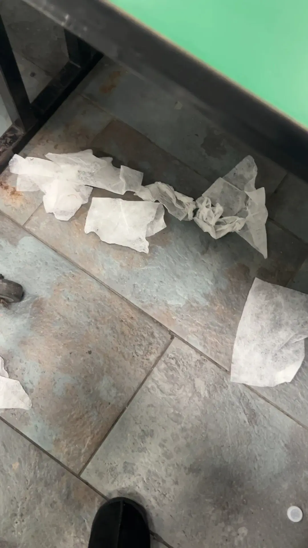 Baxter MegaWash Laundromat thumbnail 13