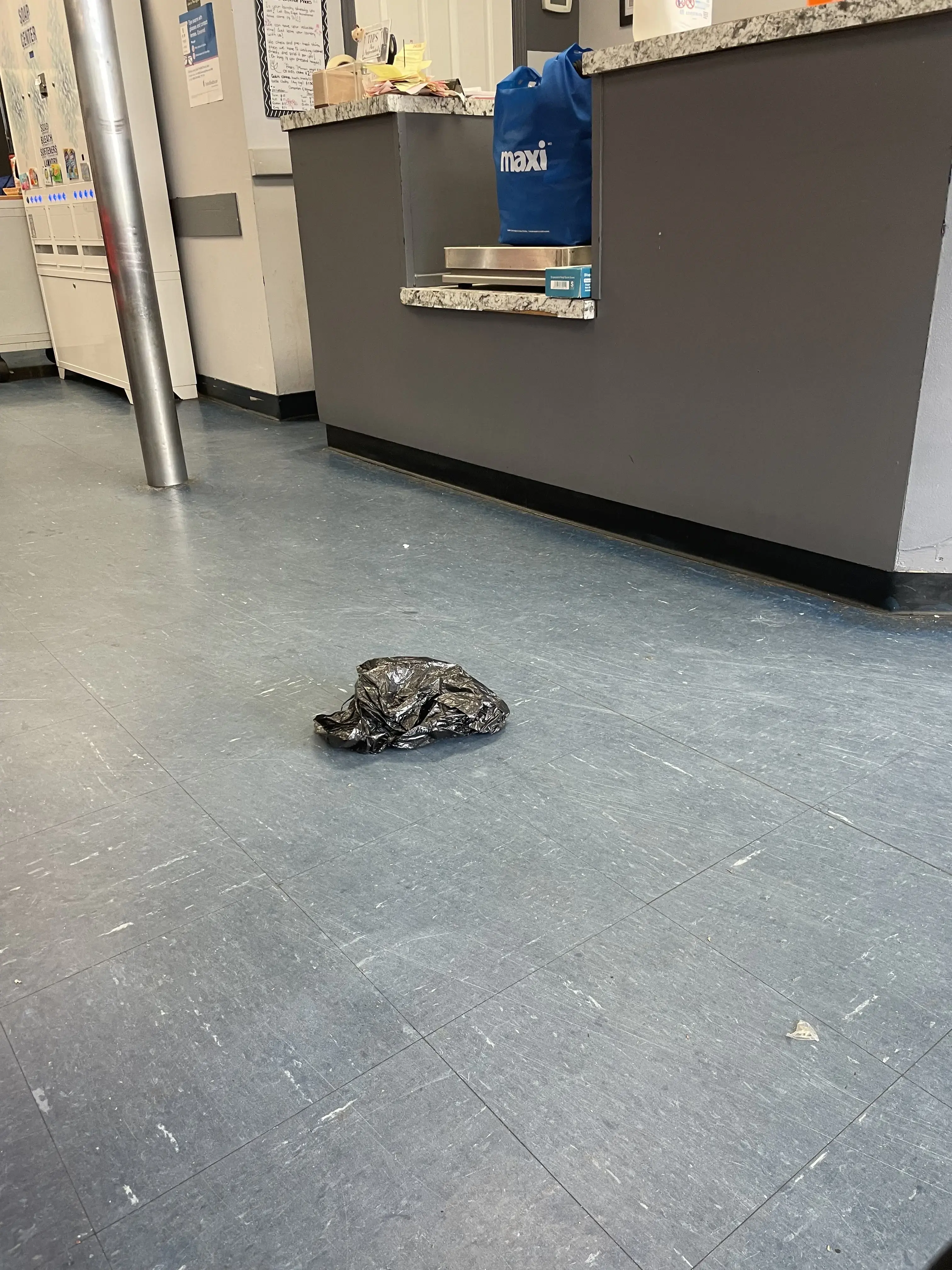 Bay Ridge Laundromat thumbnail 4