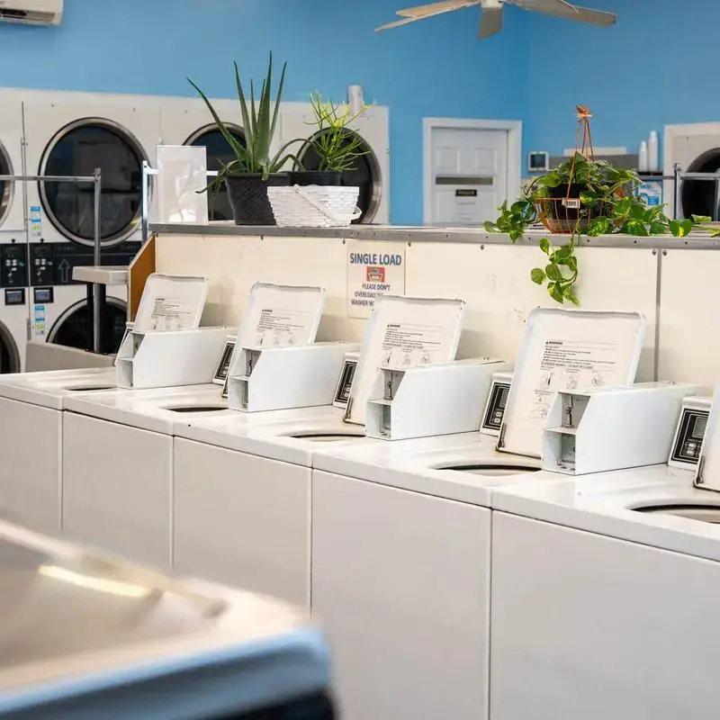 Bayside Laundry & Grill thumbnail 5