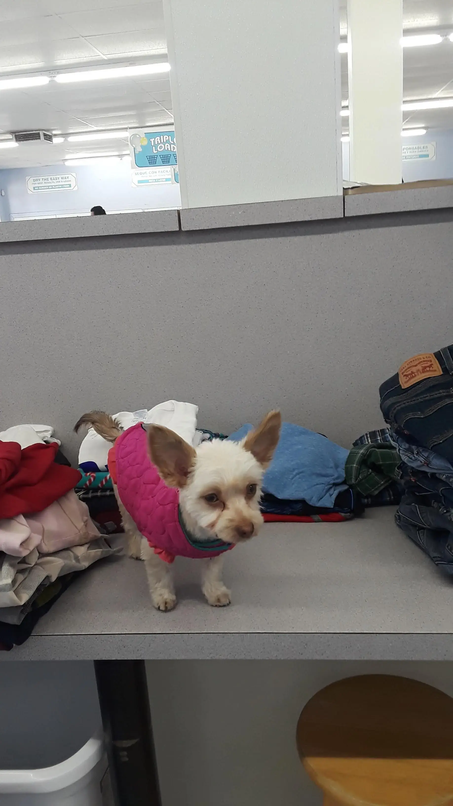 BB's Laundromat 2 thumbnail 8
