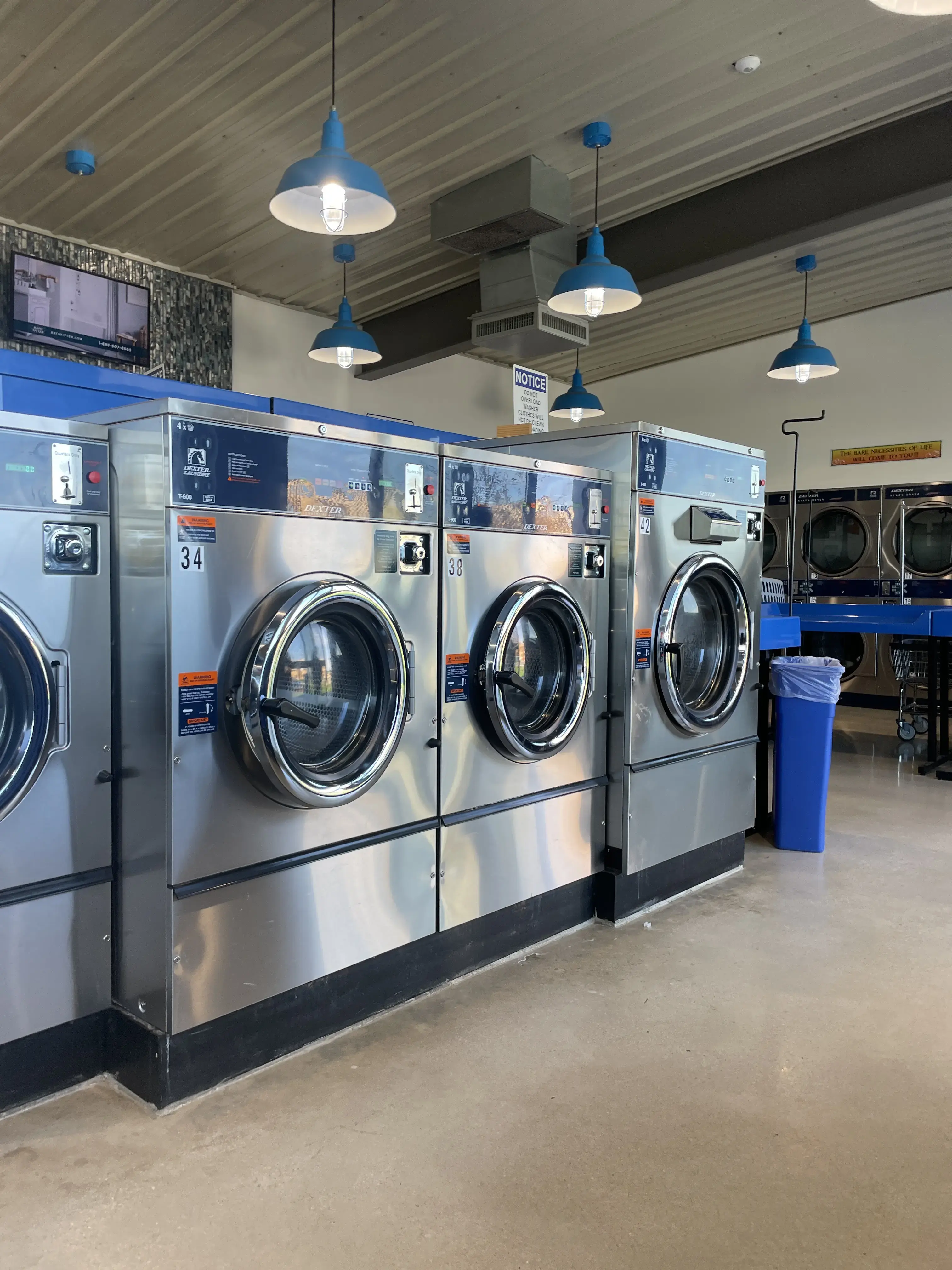 Bear Necessities Laundromat - Image 7