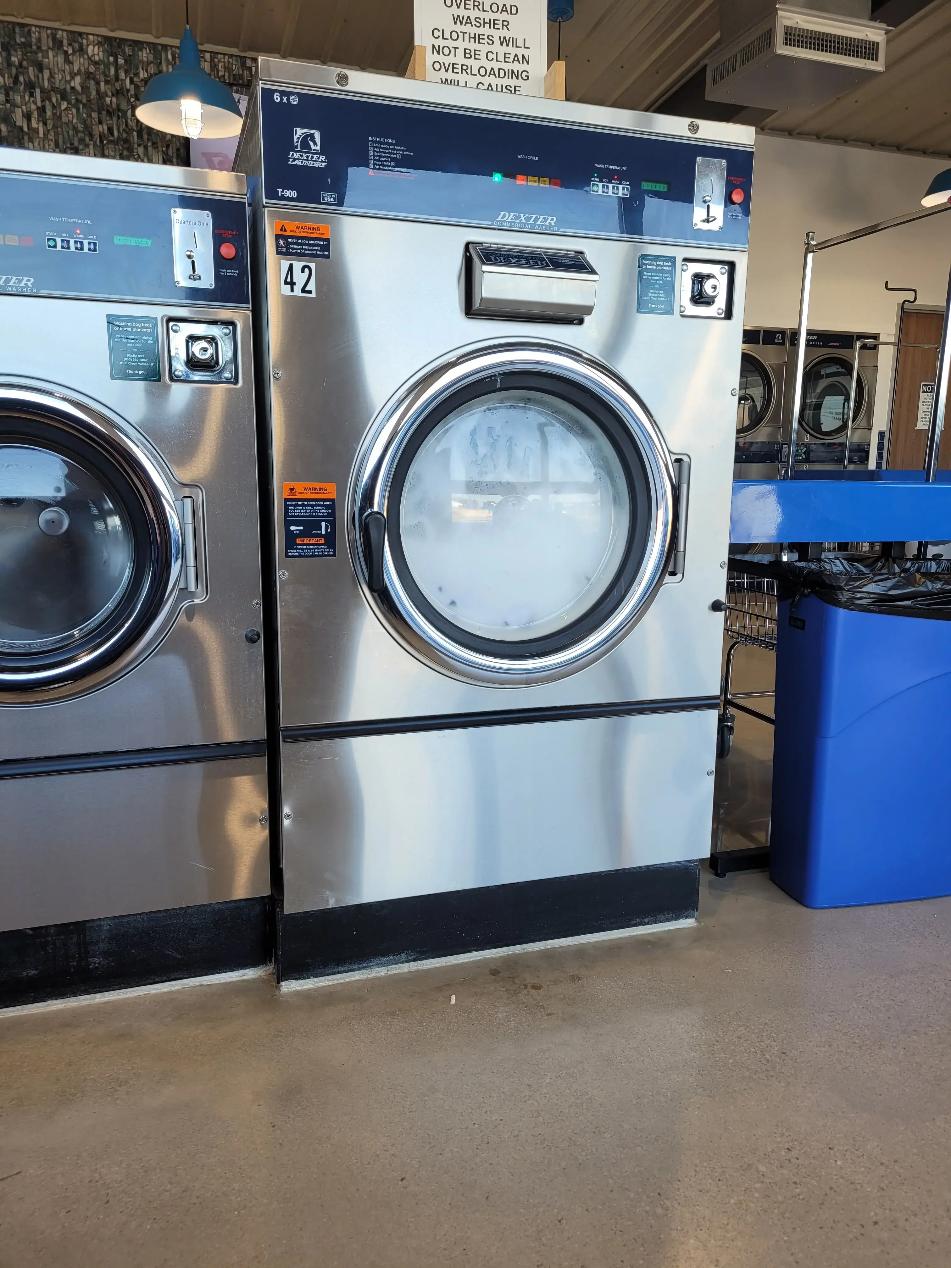 Bear Necessities Laundromat thumbnail 10