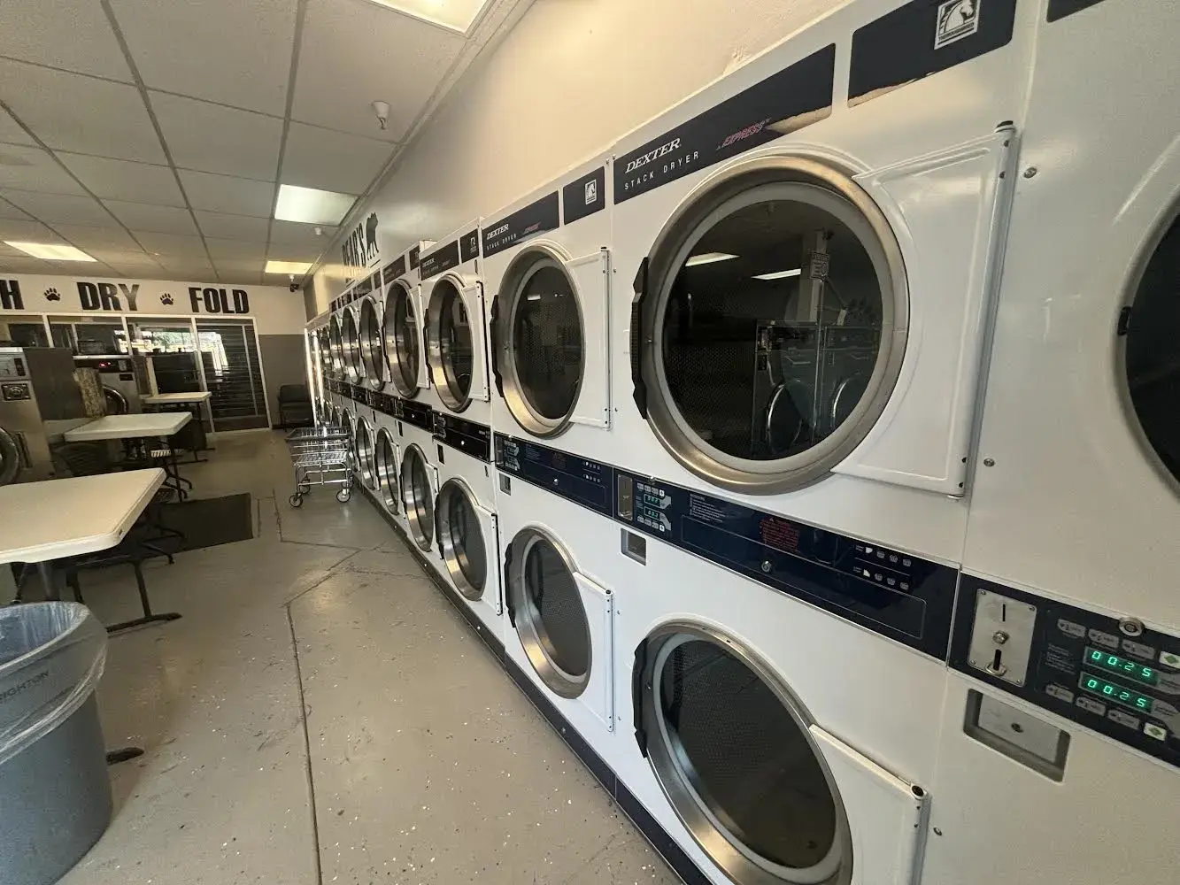Bear's Laundromat - Image 11
