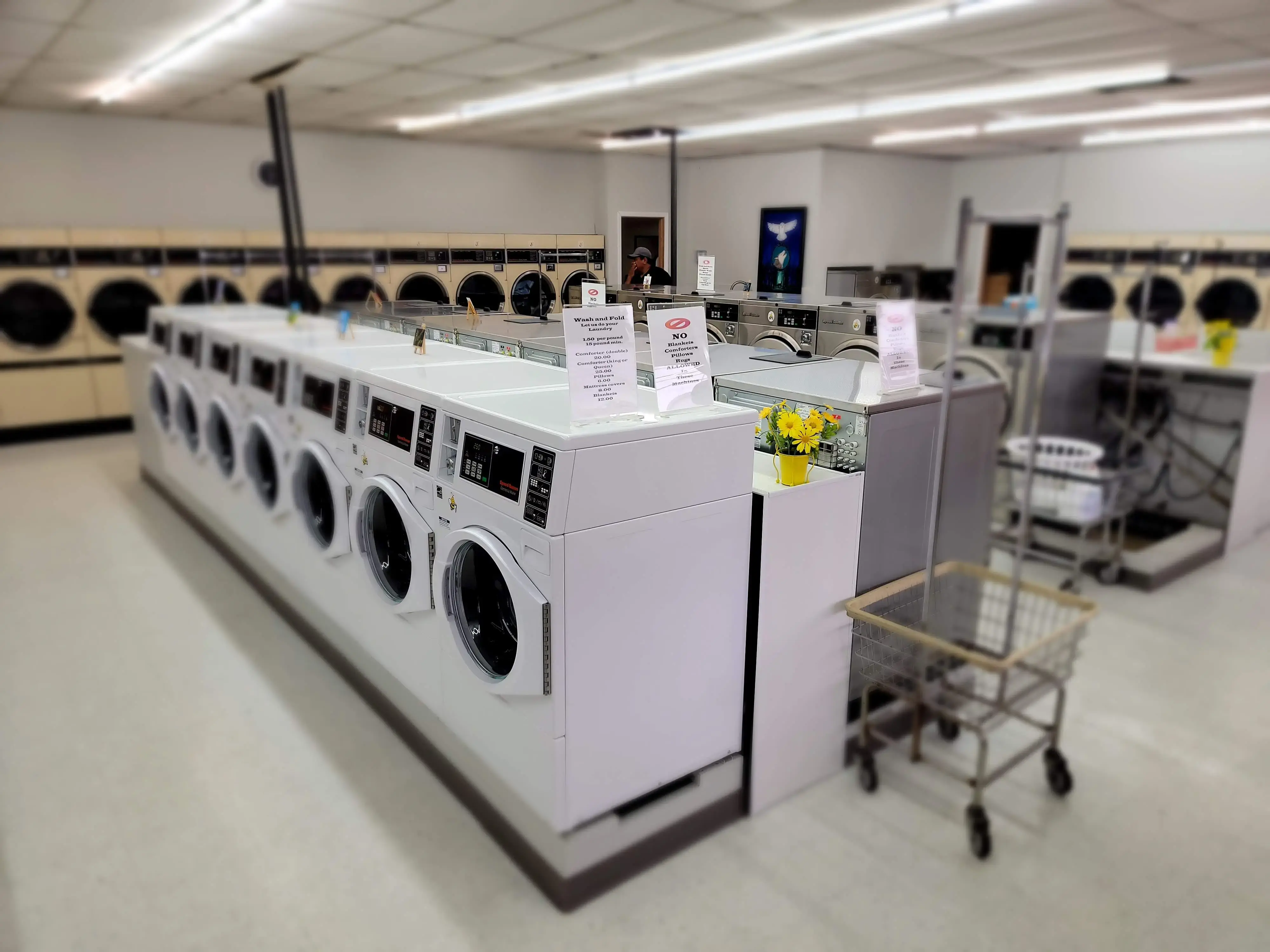 Bee Klean Laundromat LLC thumbnail 10