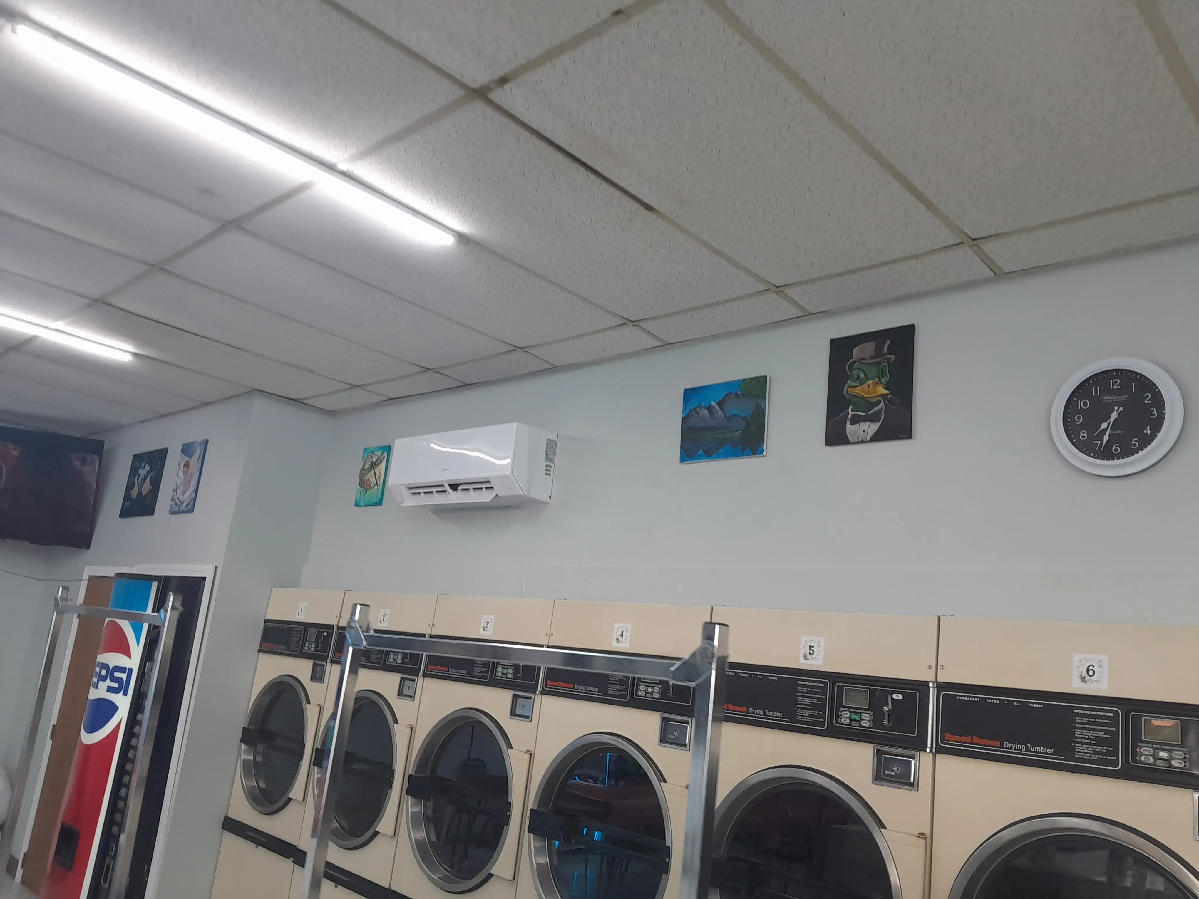 Bee Klean Laundromat LLC thumbnail 12