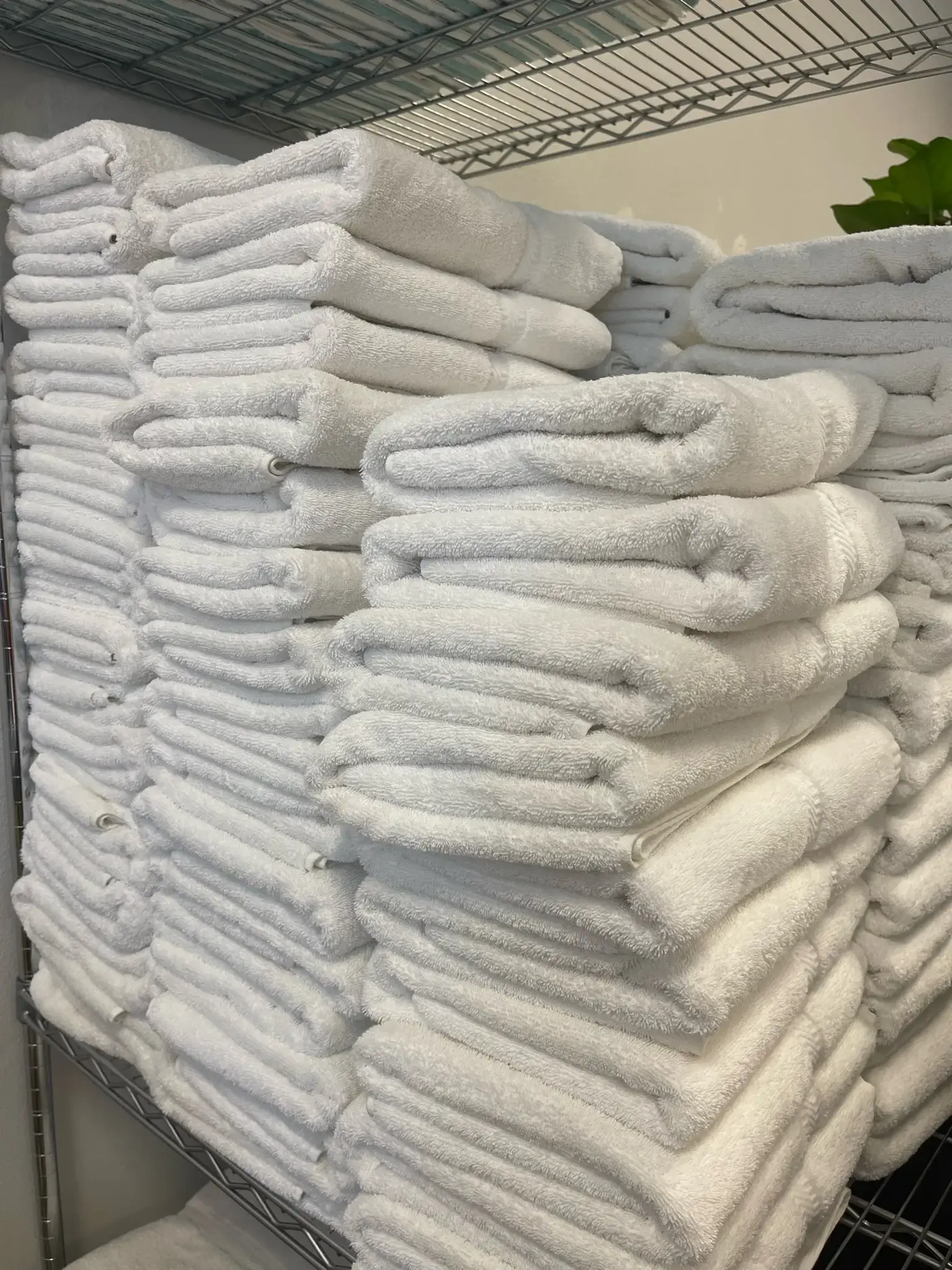 Bella’s Dry Cleaners - Image 10