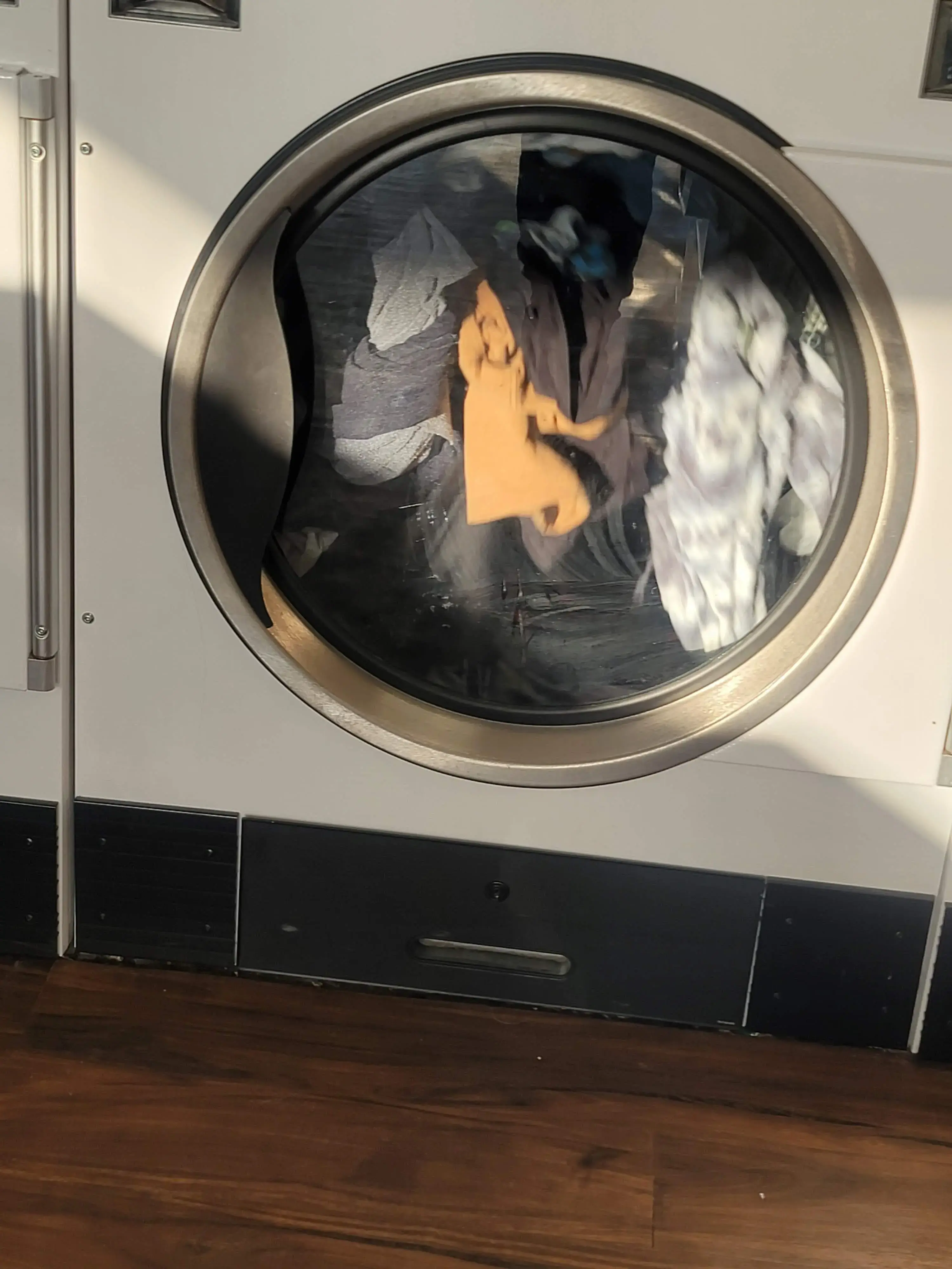 Bellevue Laundromat thumbnail 8