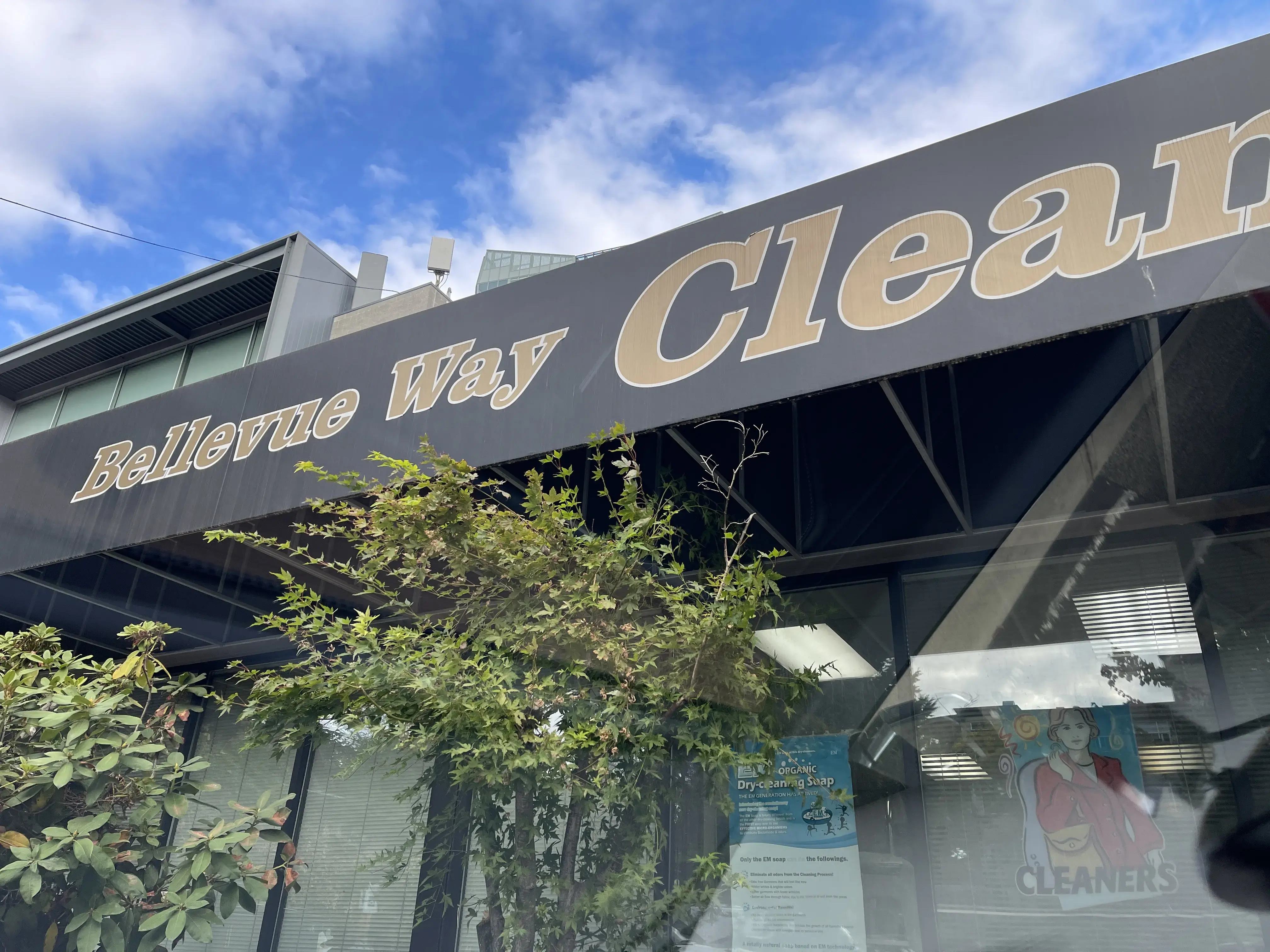 Bellevue Way Cleaners thumbnail 3