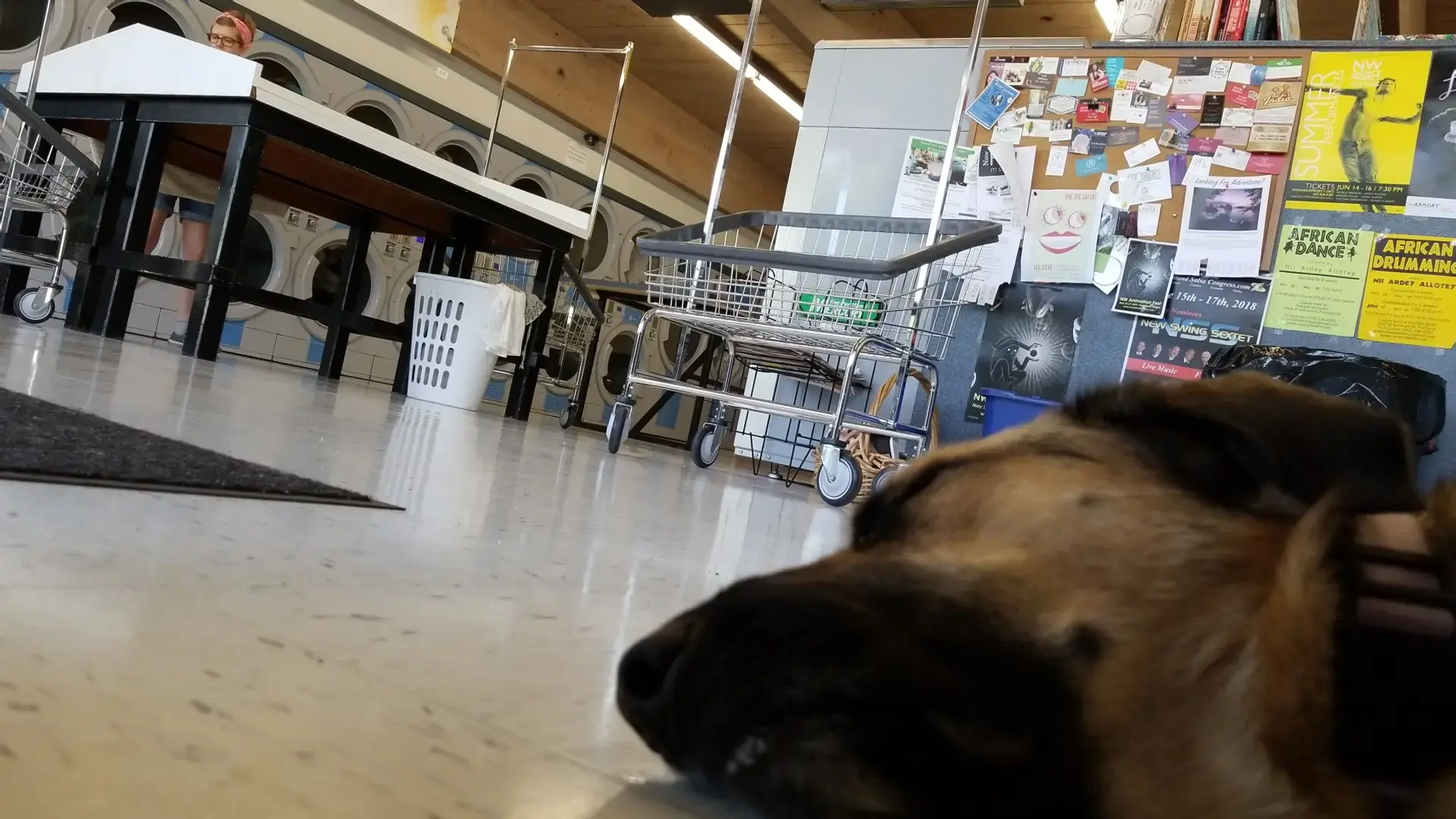 Belmont Eco on Hawthorne thumbnail 10