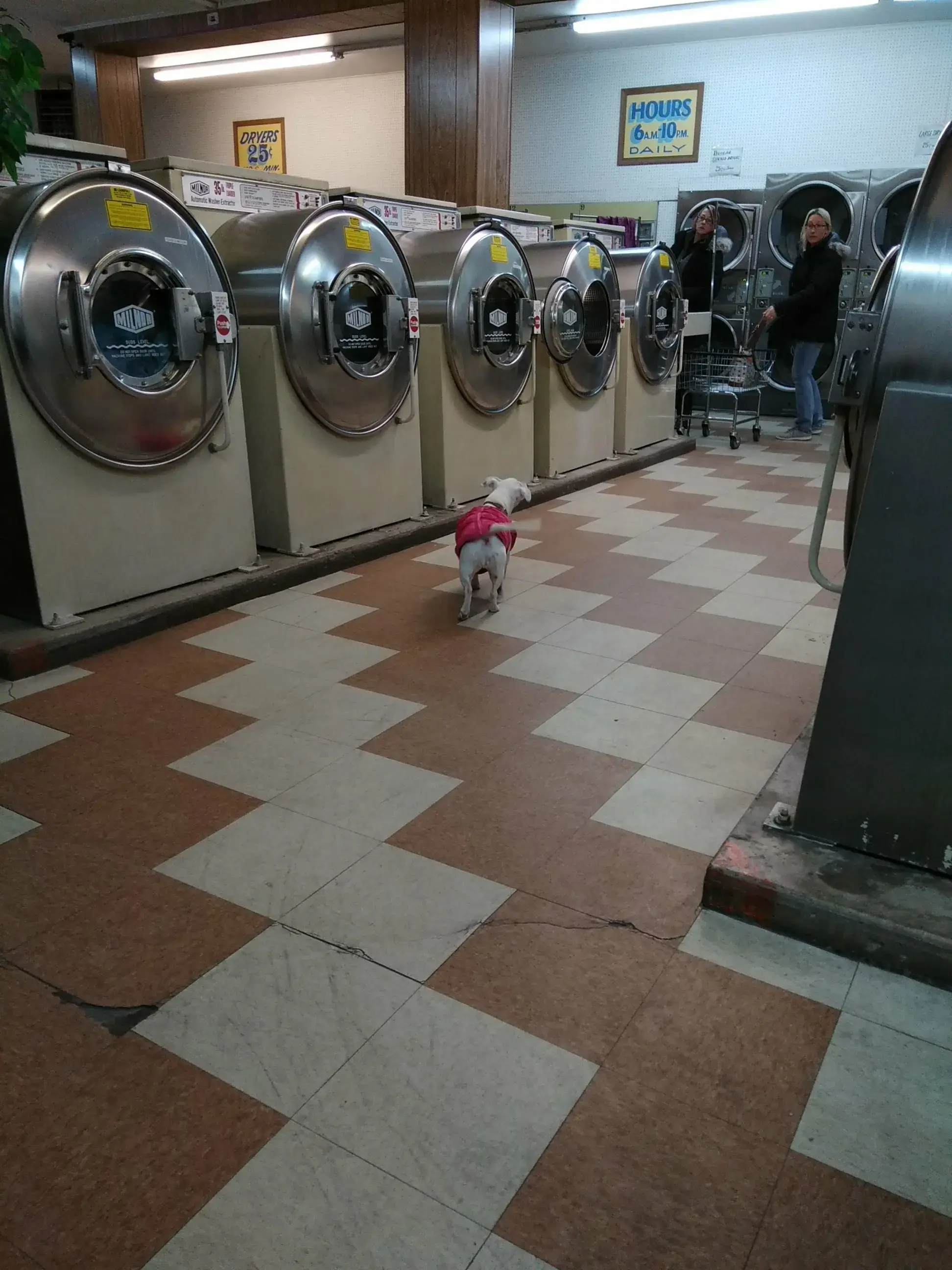 Bennett Street Laundromat thumbnail 15