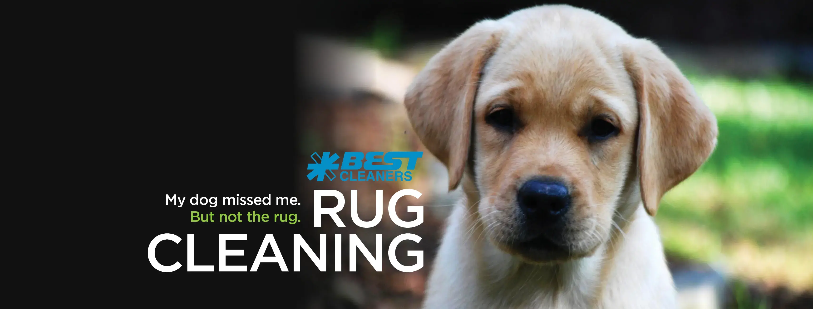 Best Cleaners thumbnail 1