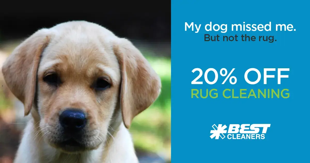 Best Cleaners thumbnail 4