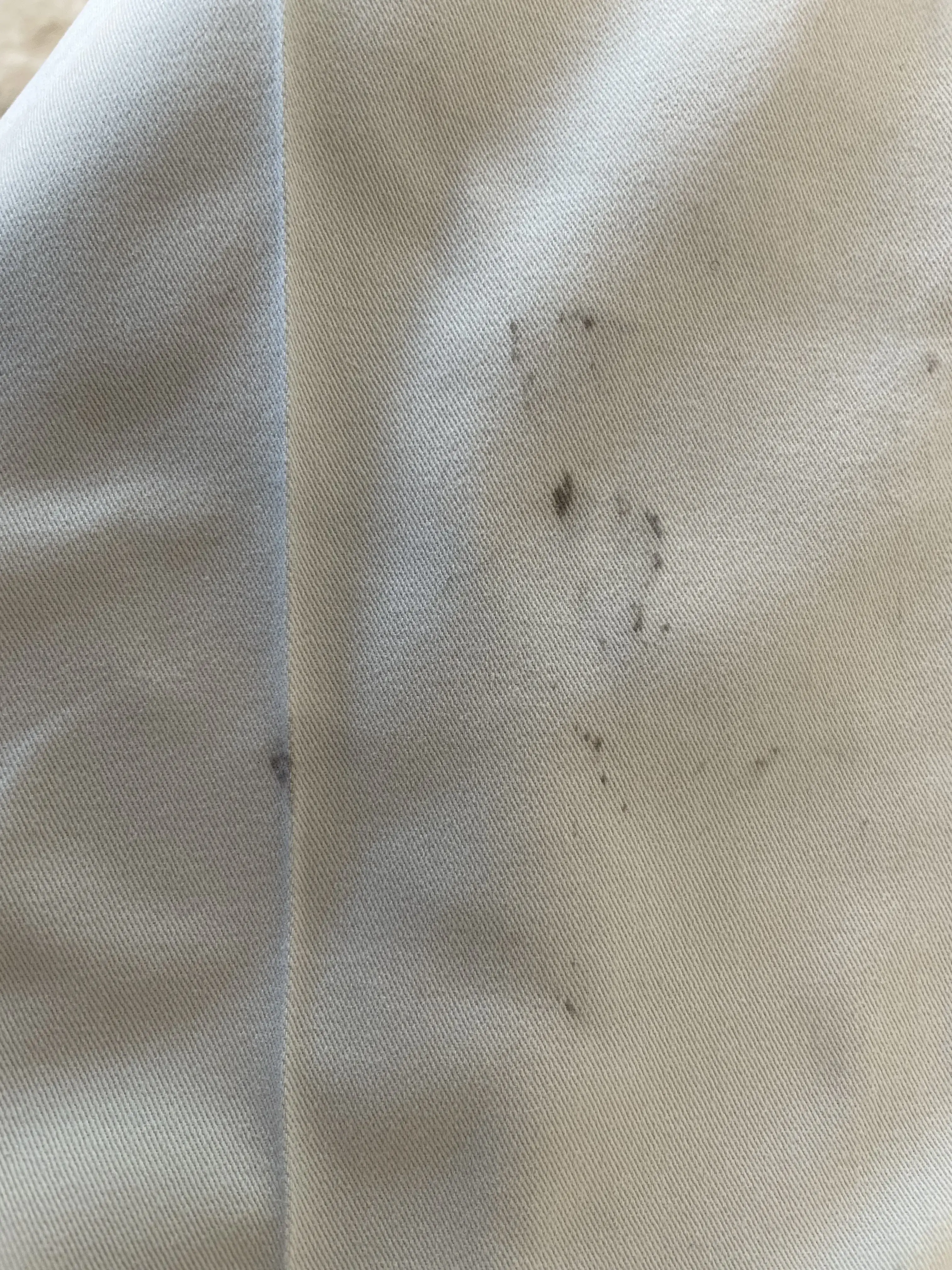 Best Cleaners - Image 4