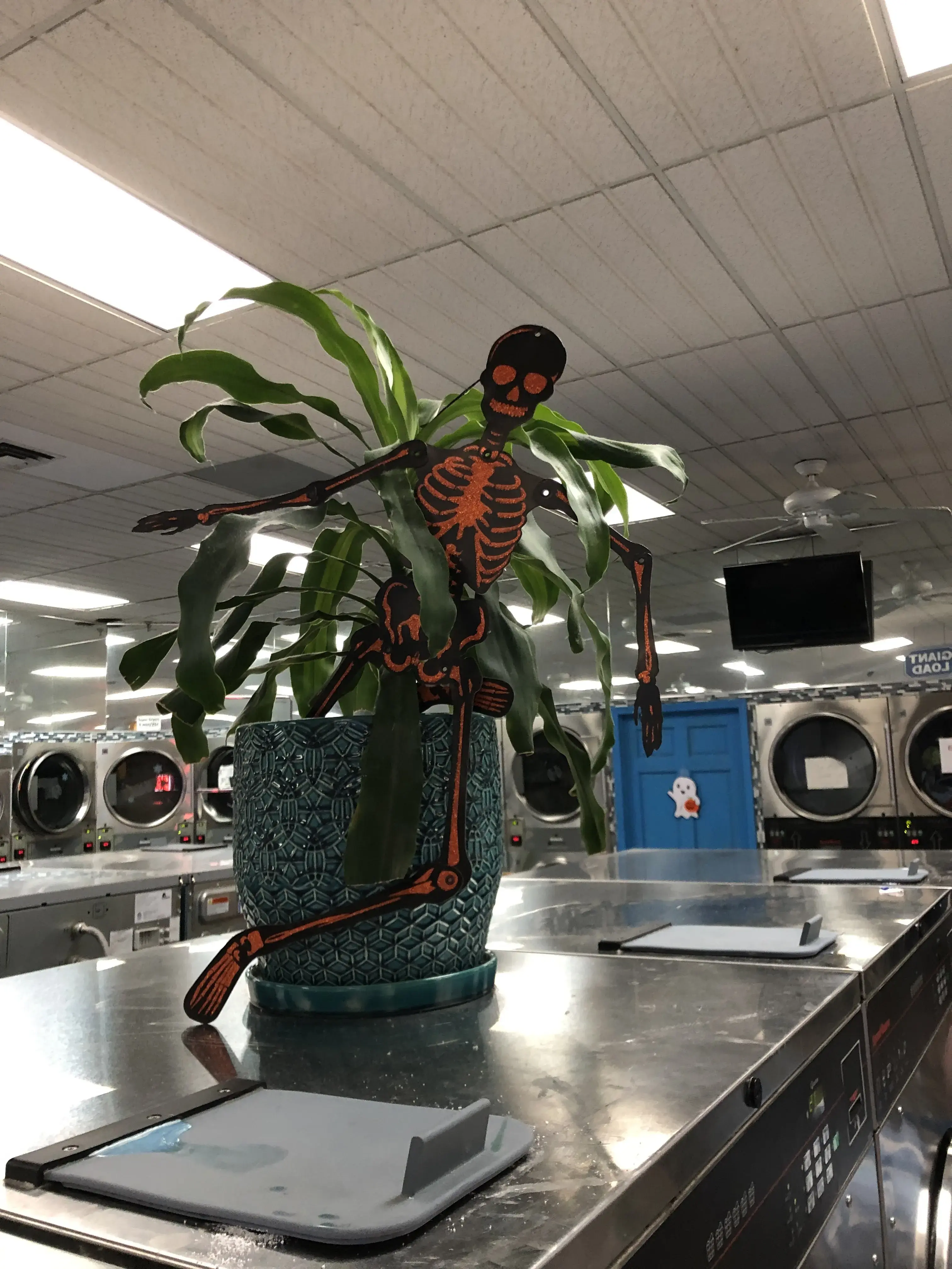 Best Today's Laundromat thumbnail 8