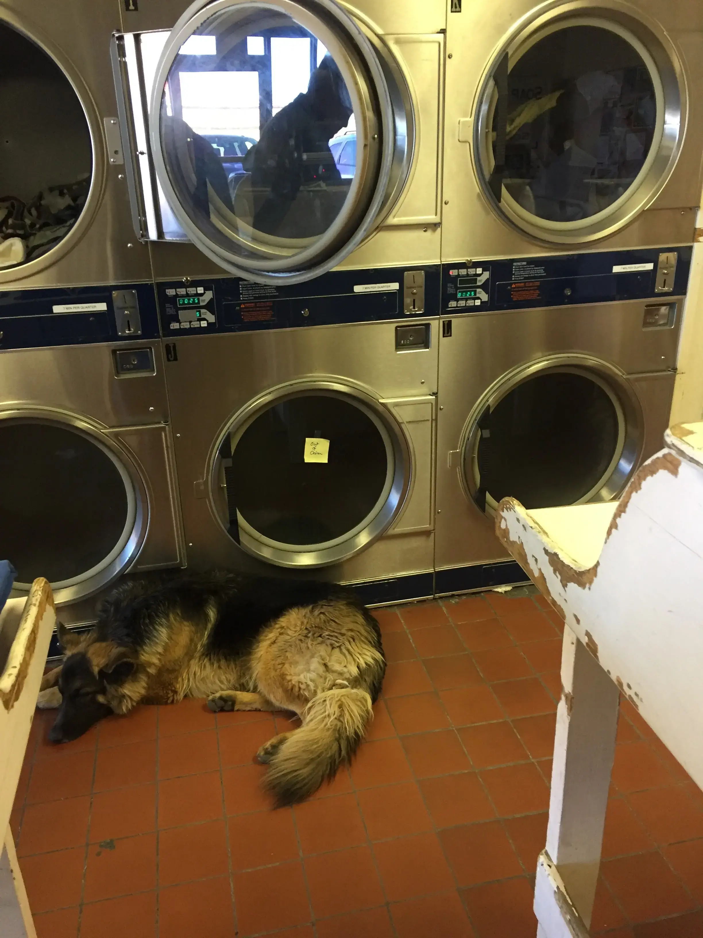 Best-Wash Laundromat thumbnail 13