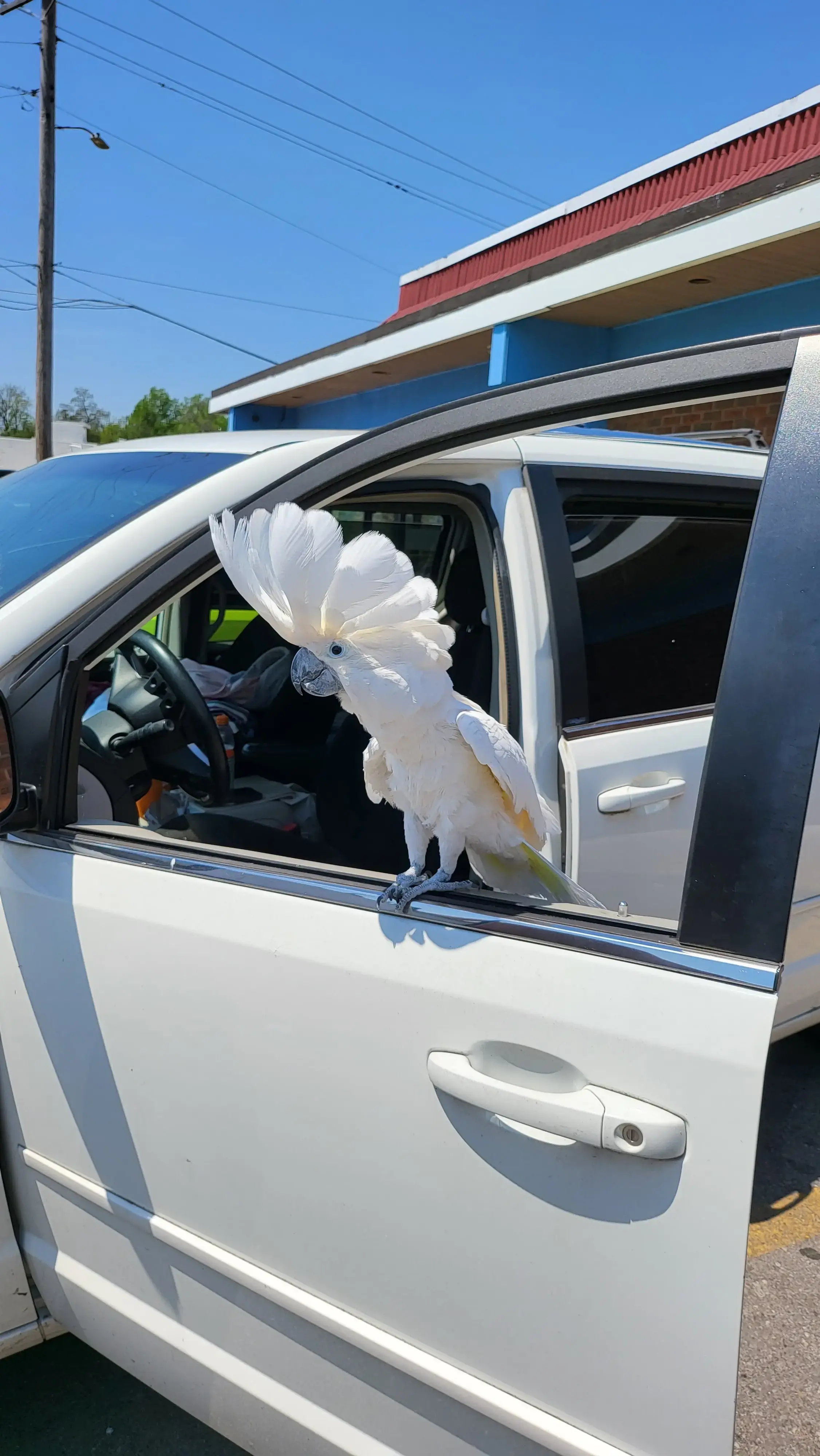 Best Wash Laundromats – Woodson Road - Image 11