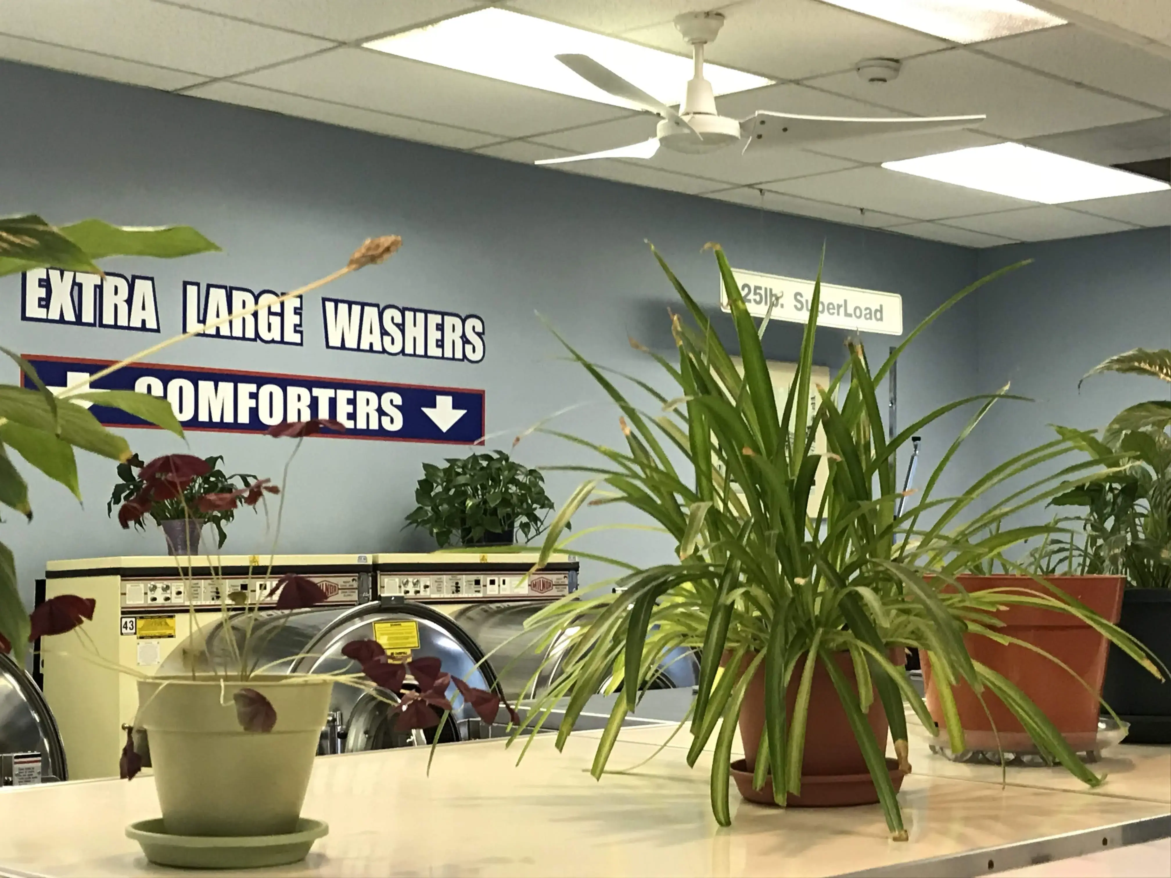 Best Yet Launderette - Image 10
