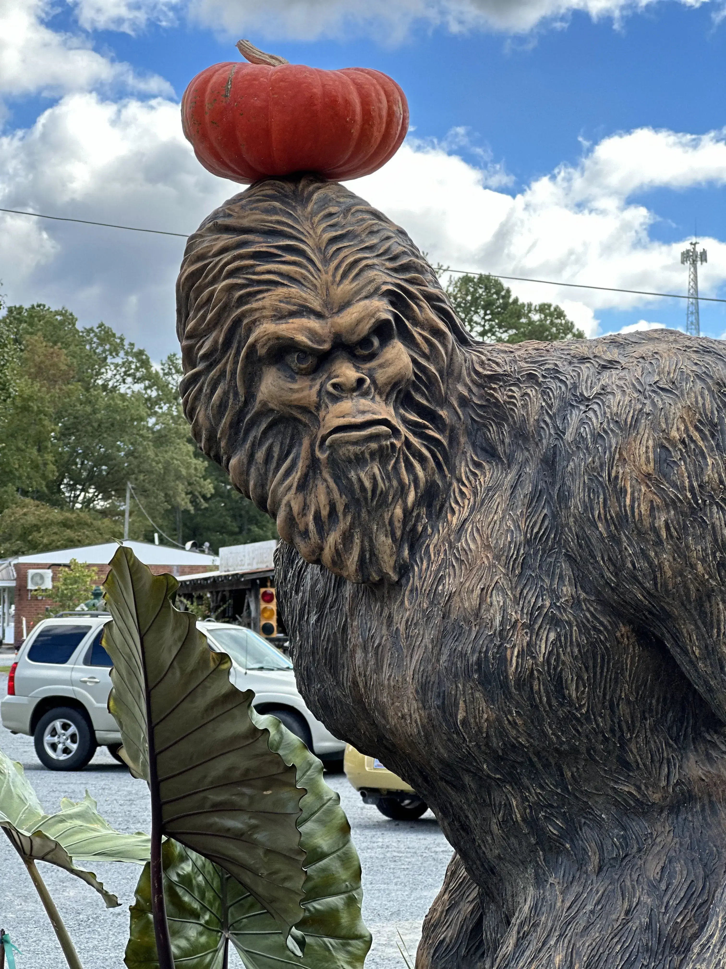 Biscoe Coin Laundry - Image 2