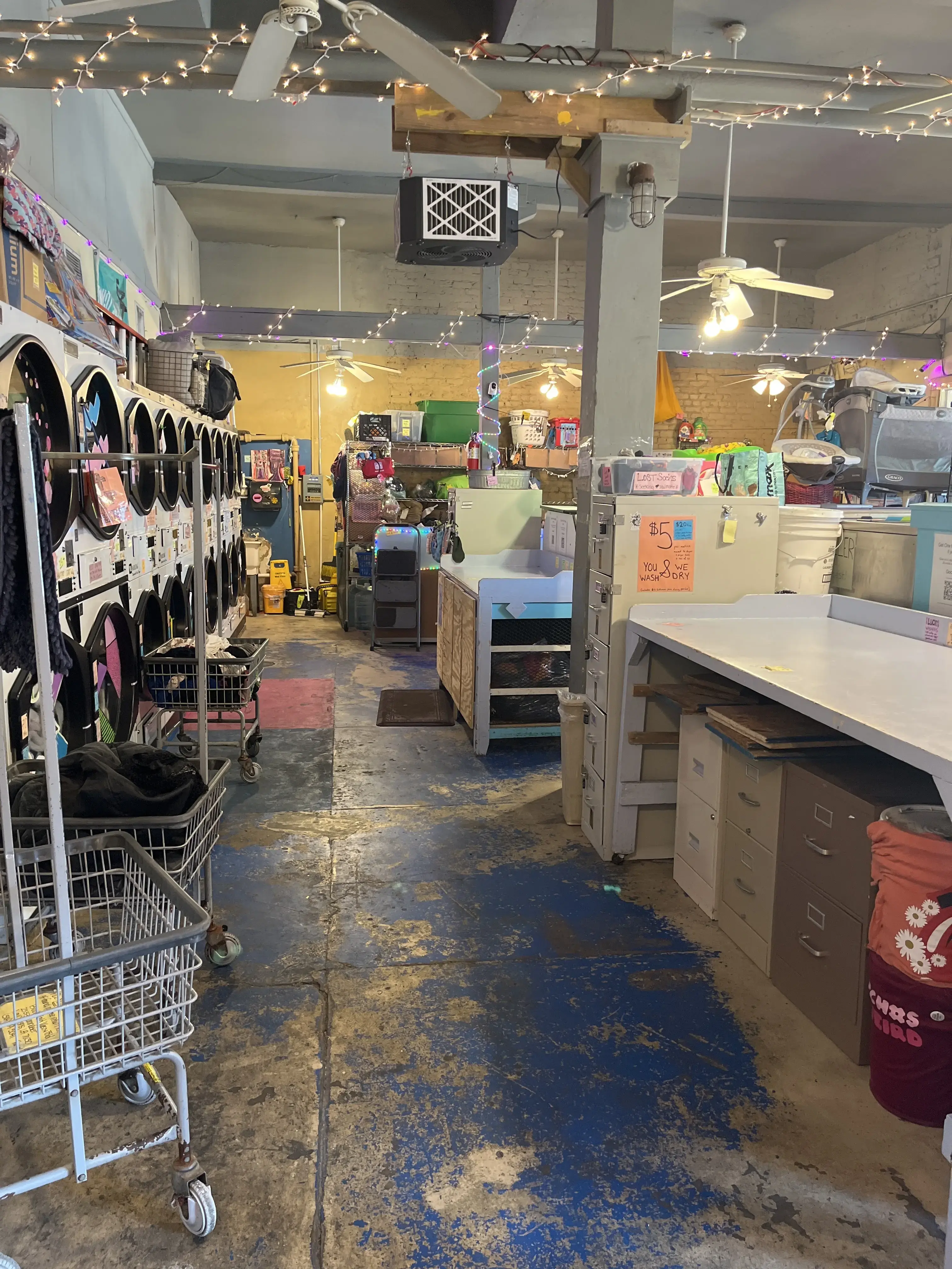 Black & Gold Wash & Fold® thumbnail 4