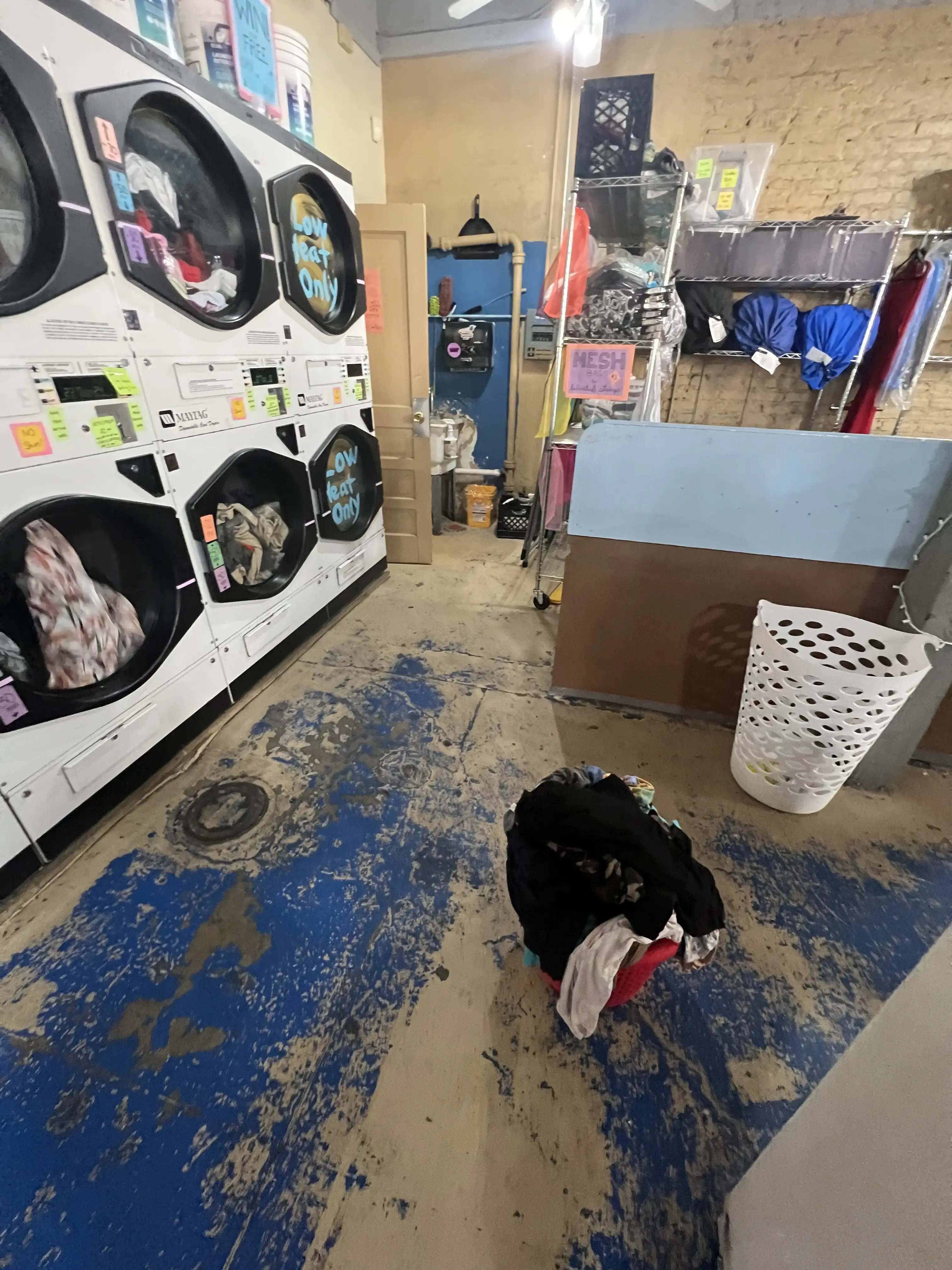 Black & Gold Wash & Fold® - Image 11