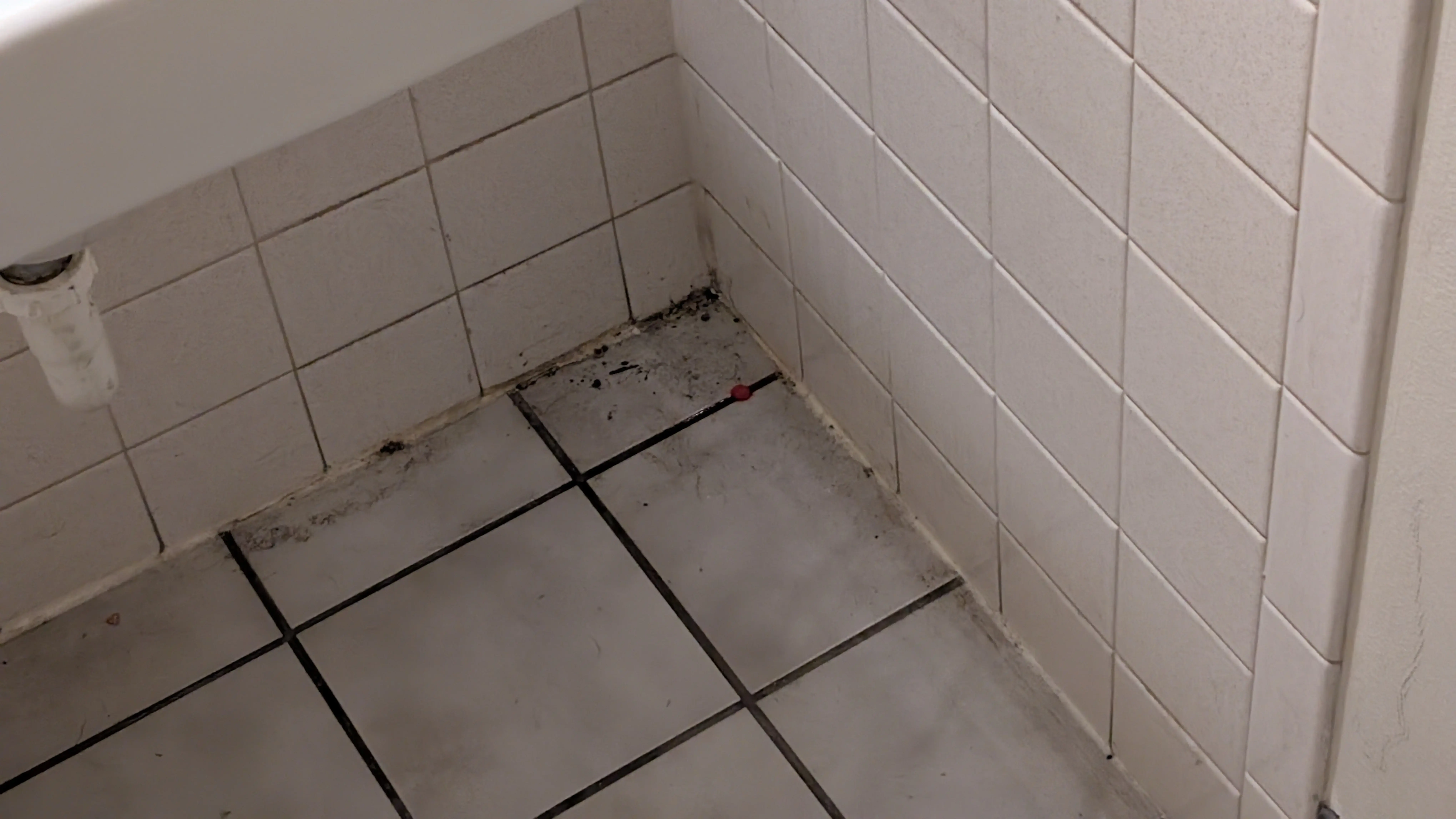 Bloomington Laundry | Courtesy Cleaning thumbnail 5