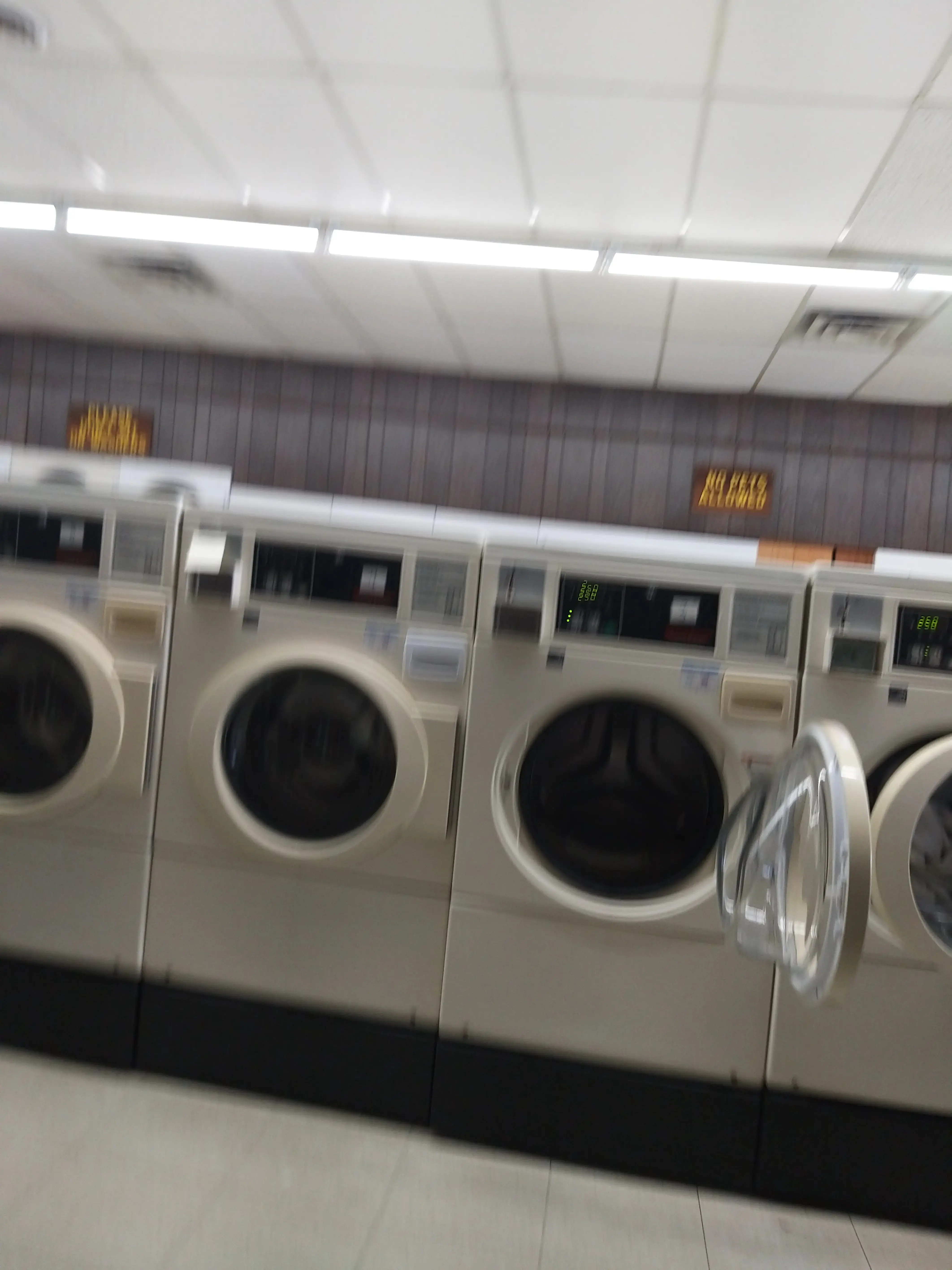 Bloomington Quick Clean Laundry - Image 16