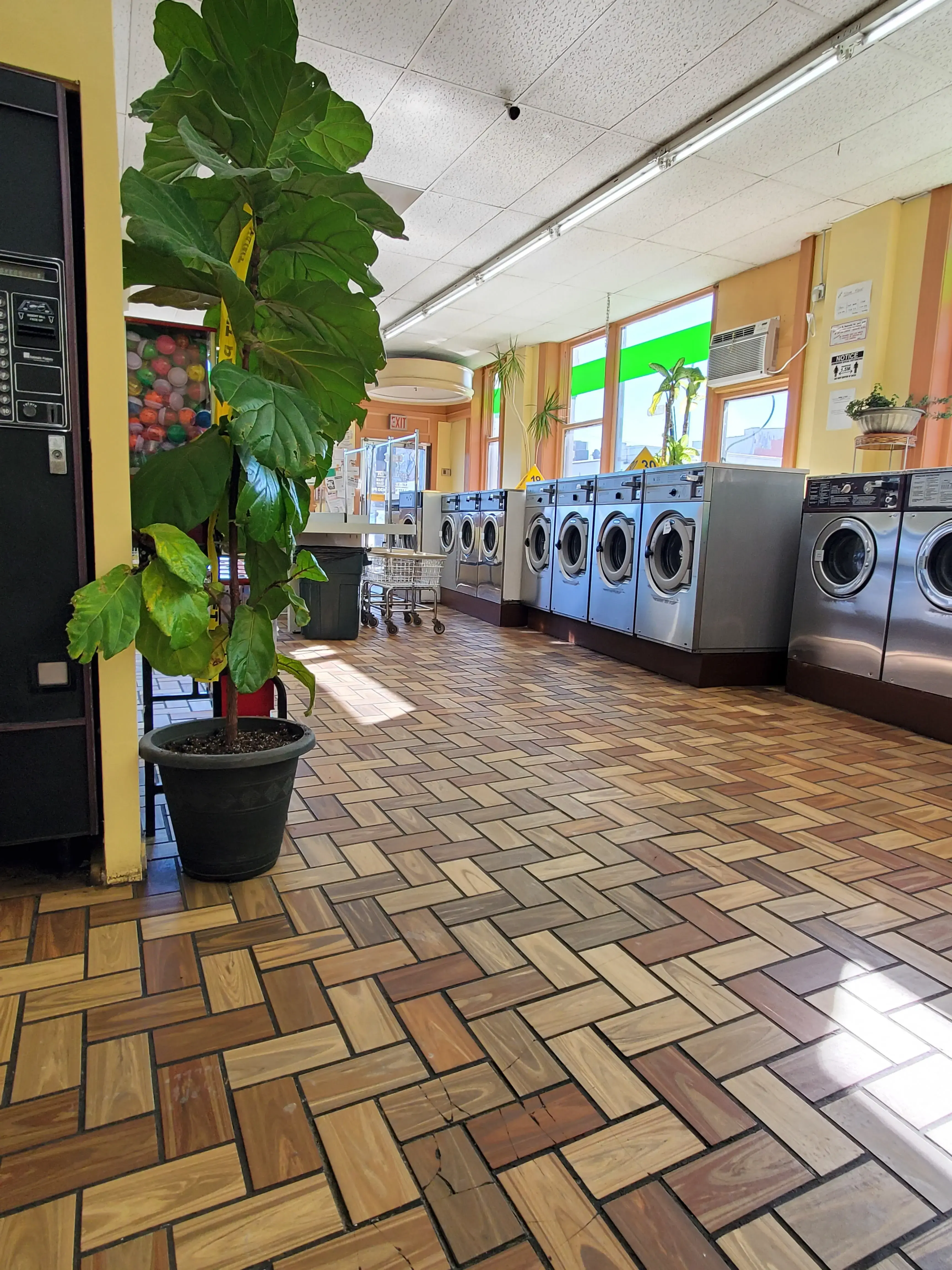 Blue Island Laundry thumbnail 5
