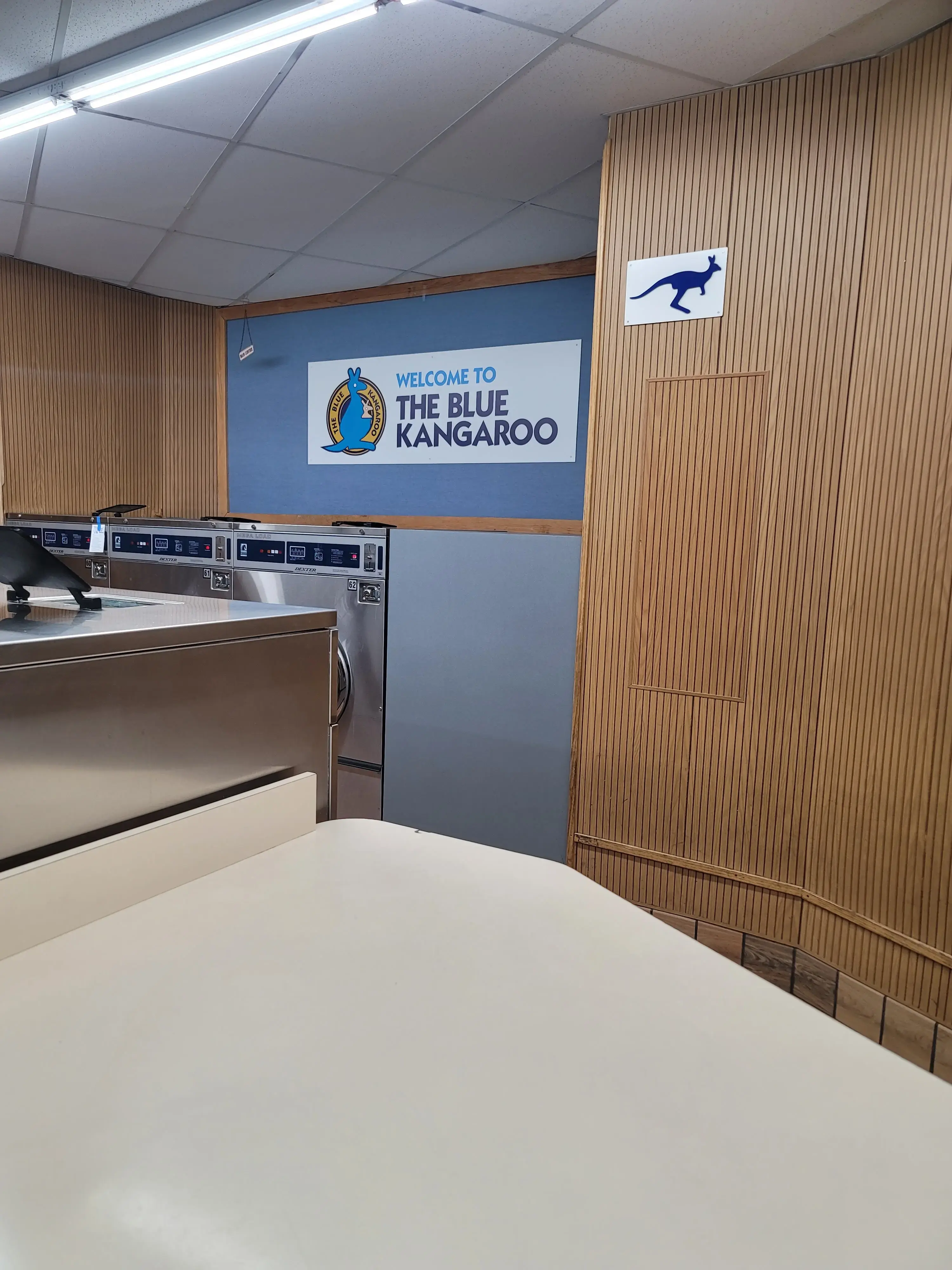 Blue Kangaroo - Image 13