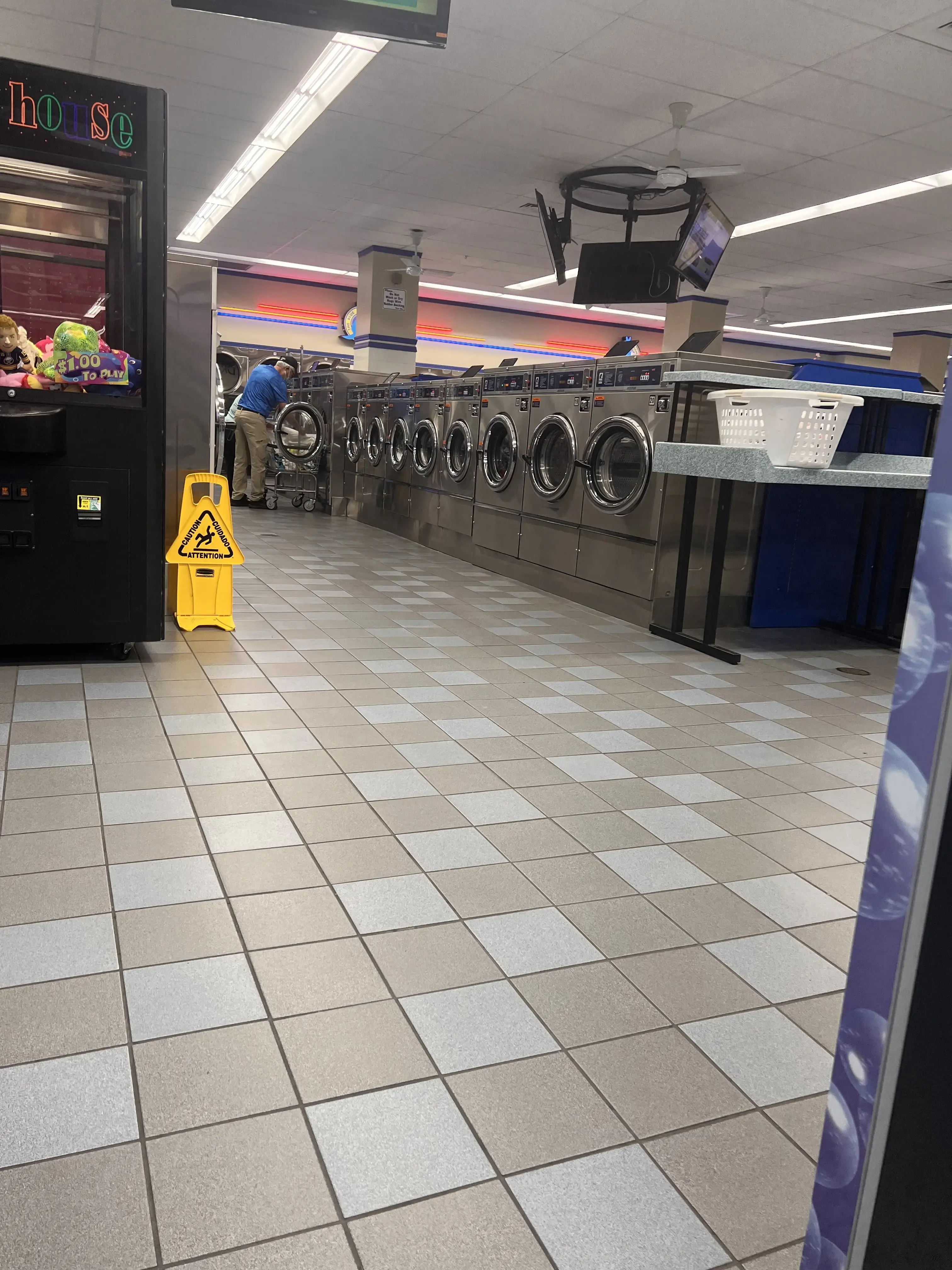 Blue Kangaroo - Image 10